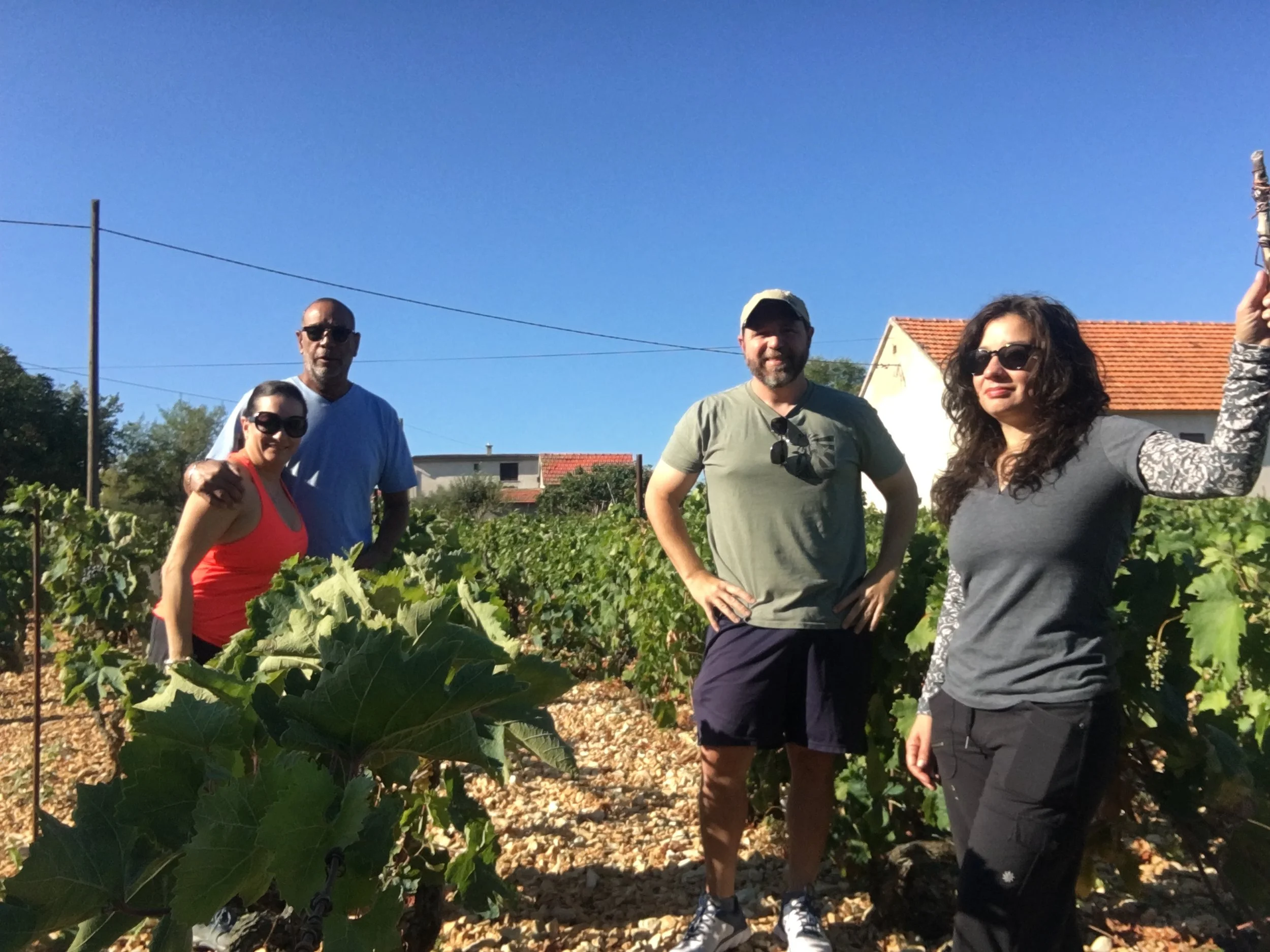 Group of four people standing in a vineyard on a sunny day, with greenery and houses in the background.