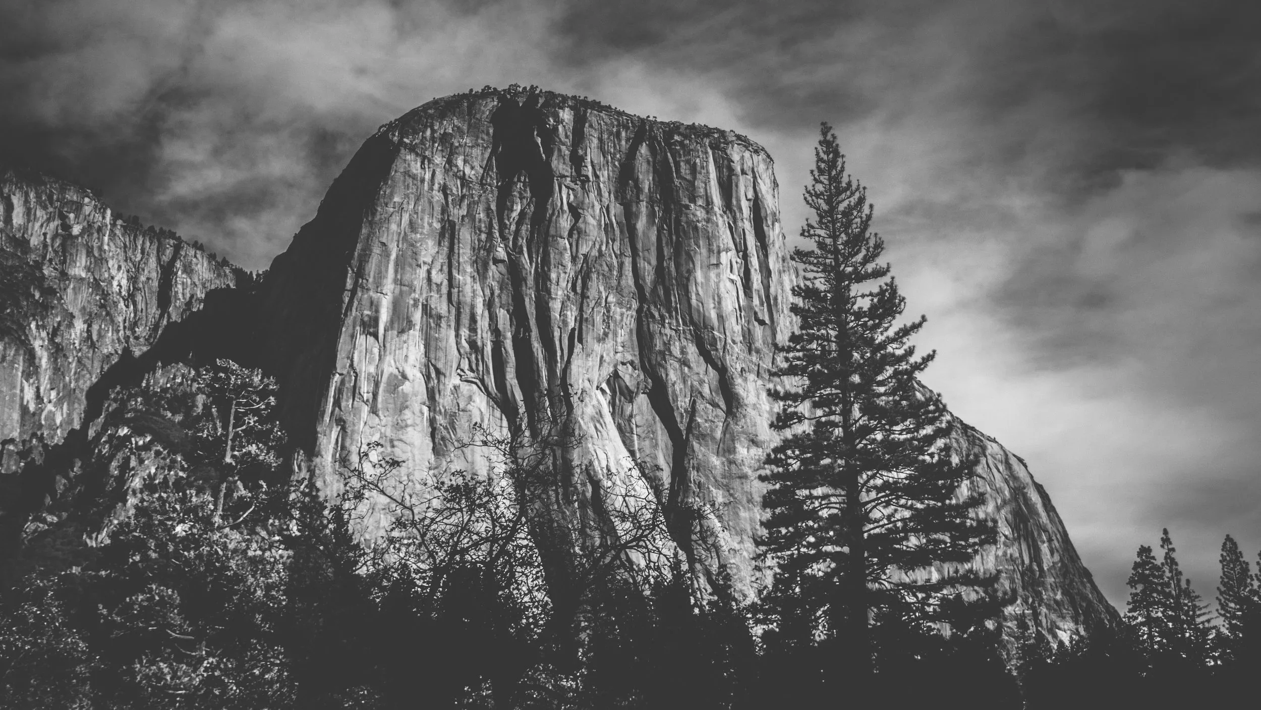 CASK Character #2 Alex Honnold