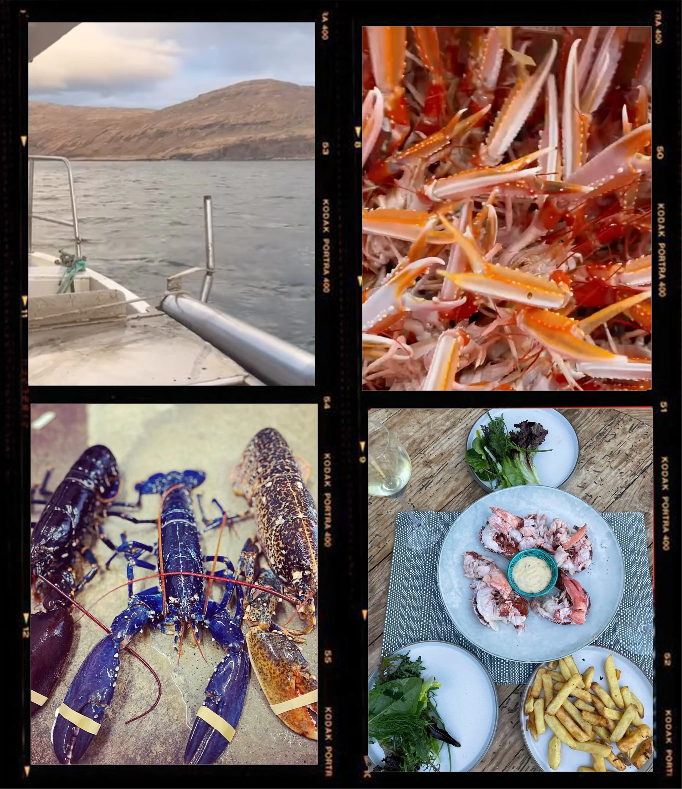 A collage of four images. The top-left image shows a mountain view from a boat on a body of water. The top-right image displays cooked or raw lobster claws on a mat. The bottom-left image features several raw lobsters with blue shells and red antennae on a beige surface. The bottom-right image shows a table with various dishes, including a bowl of greens, a plate of cooked lobster, and side dishes of fries and dipping sauces.