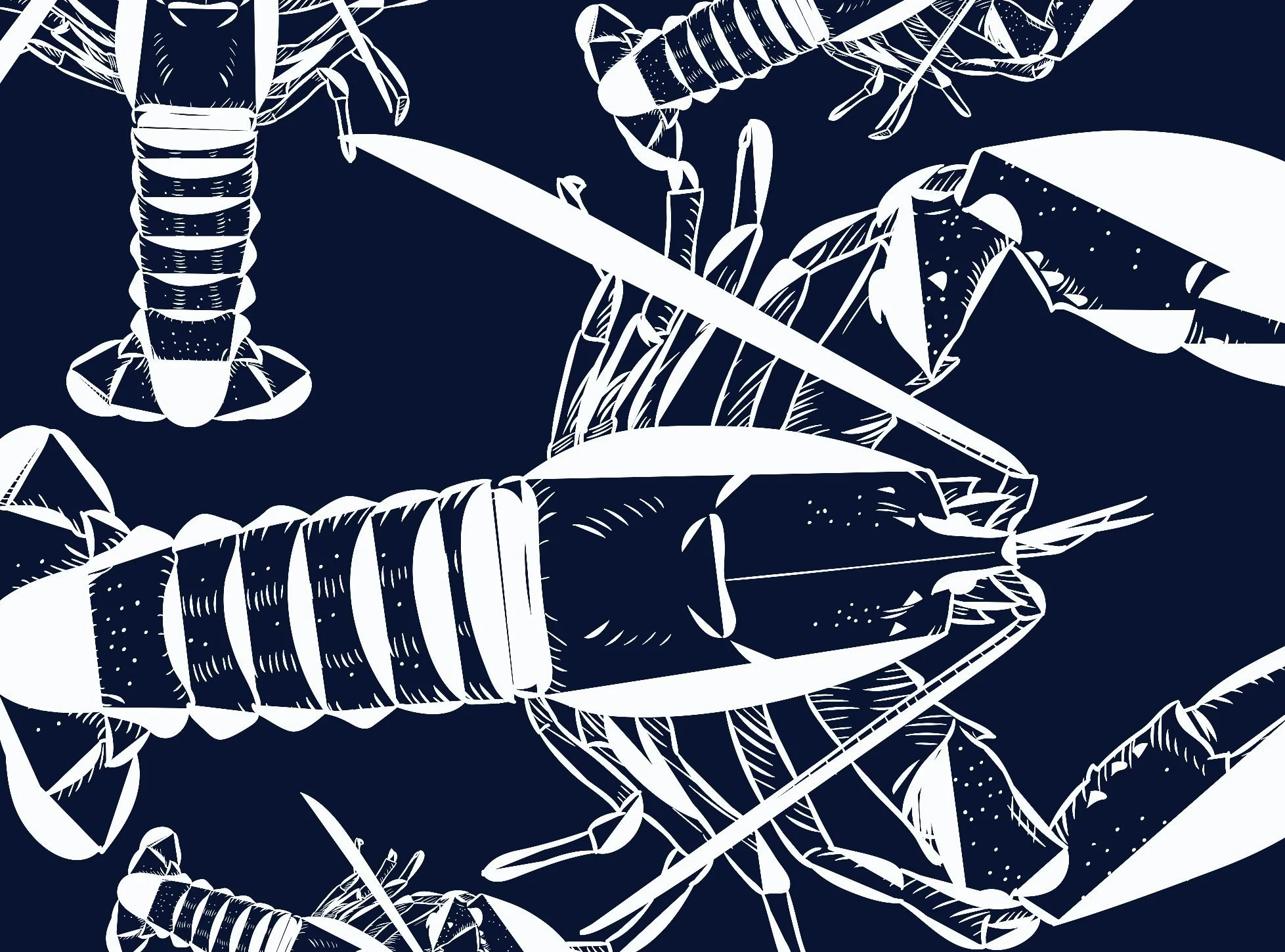 Outline illustration of a crustacean, possibly a lobster or crab, with detailed segmented body, claws, and antennae against a dark background.