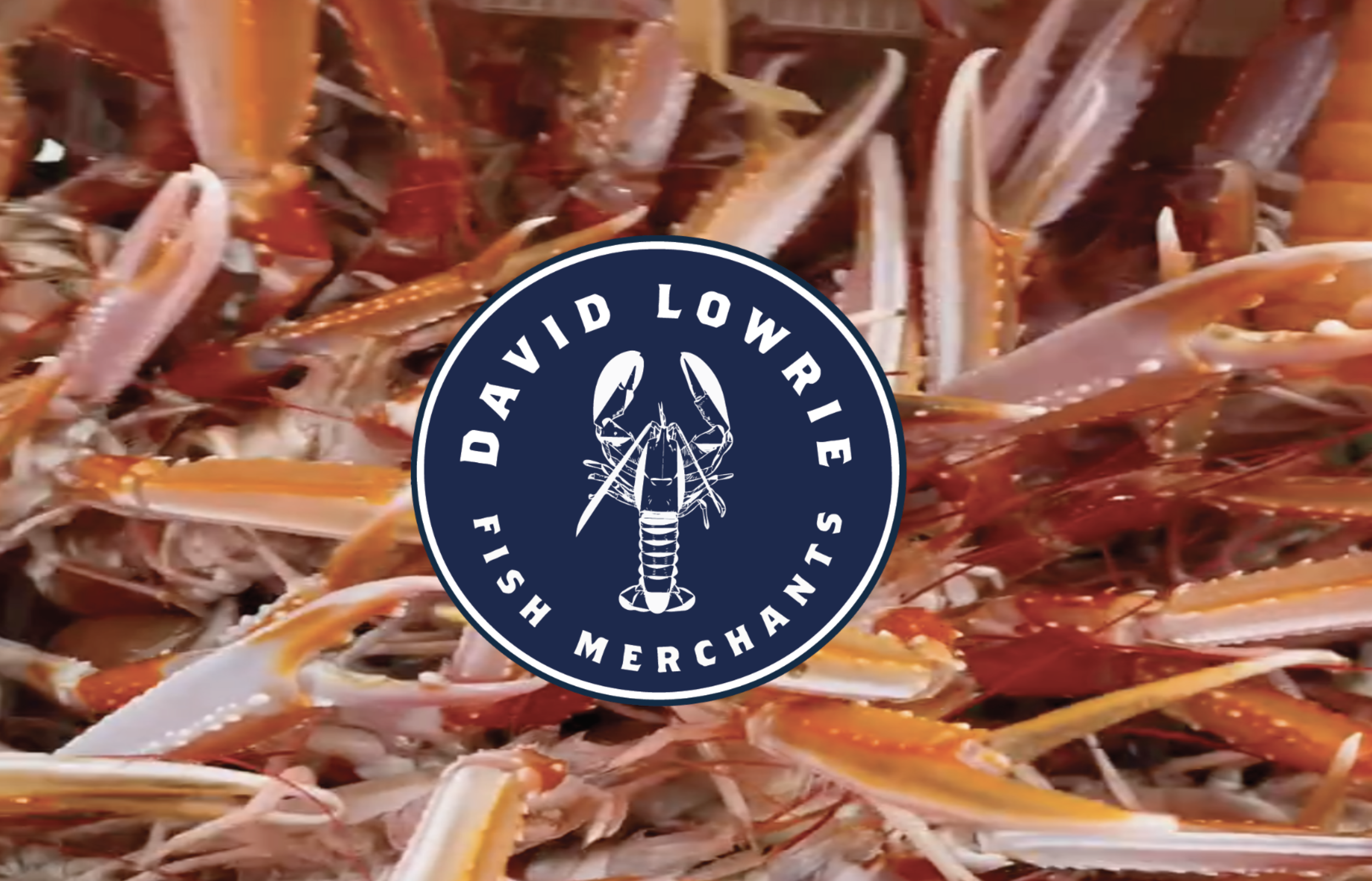 A background of various cooked crawfish with a round dark blue logo in the center that features a lobster illustration and the text 'Hoppin' Lowrider Merchants'.