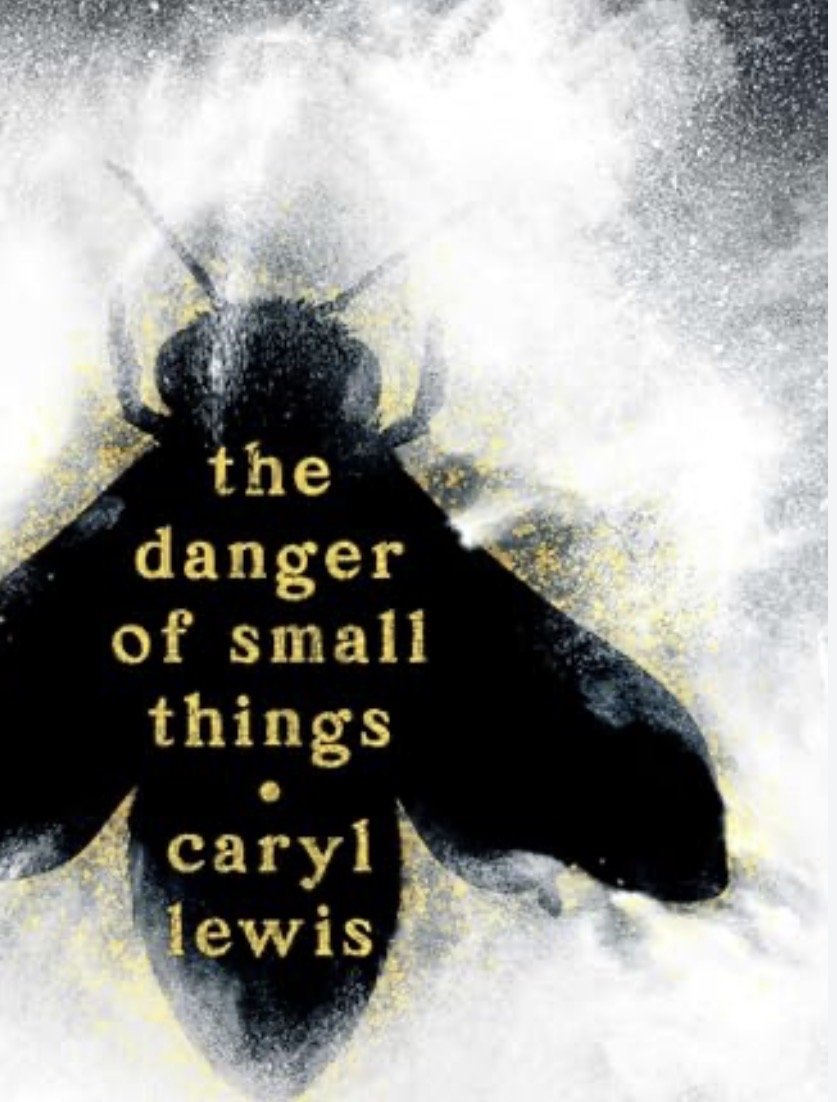 The Danger of Small Things – Caryl Lewis