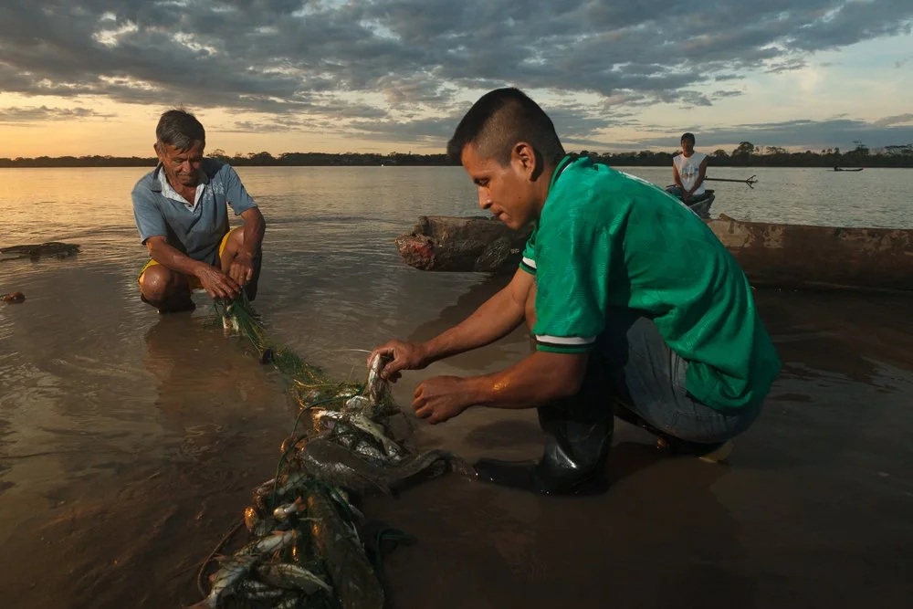 Two fishermen crouch along the muddy banks of the Amazon River to untangle a catch of fish from their net at sunrise, Friday, June 15, 2012, near Iquitos, Peru.