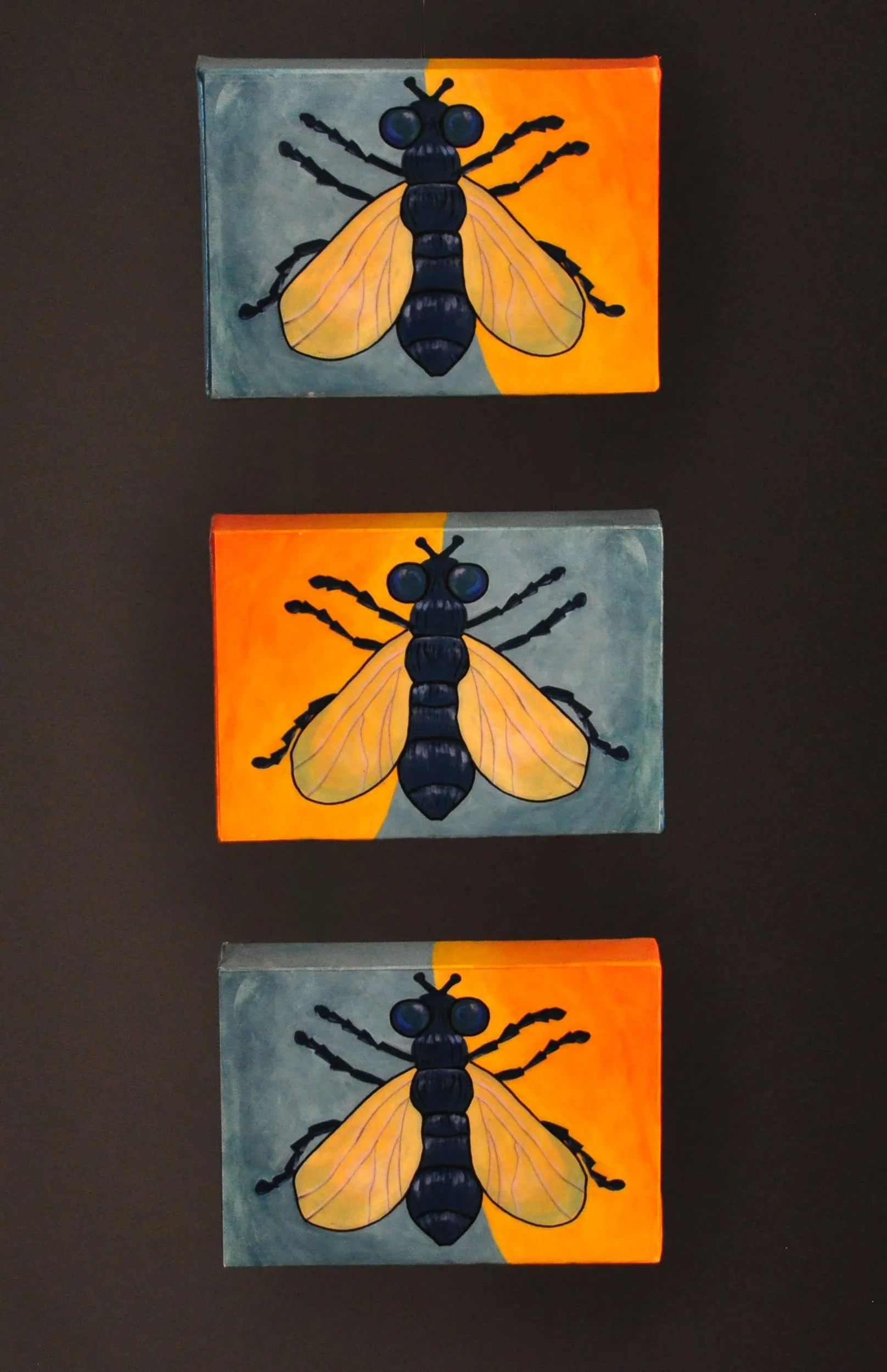 Fly On The Wall.jpg
