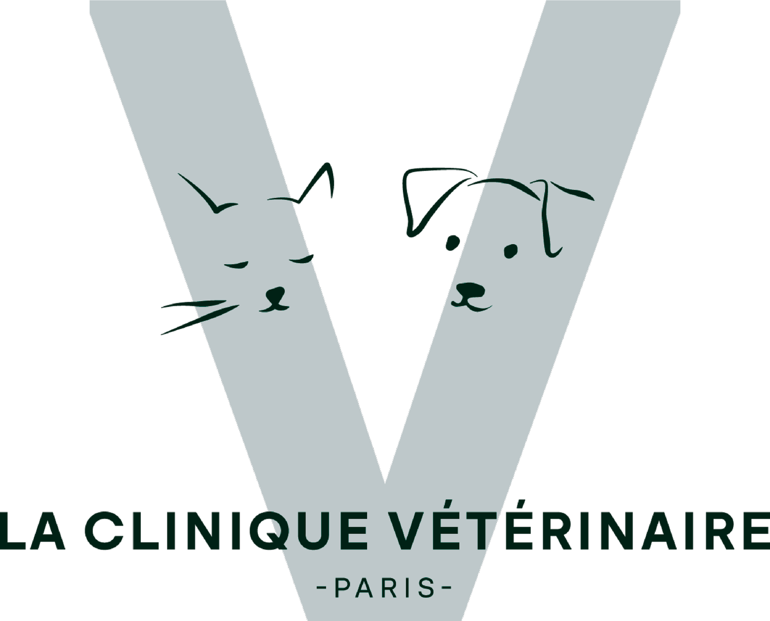 V clinique vétérinaire - Paris