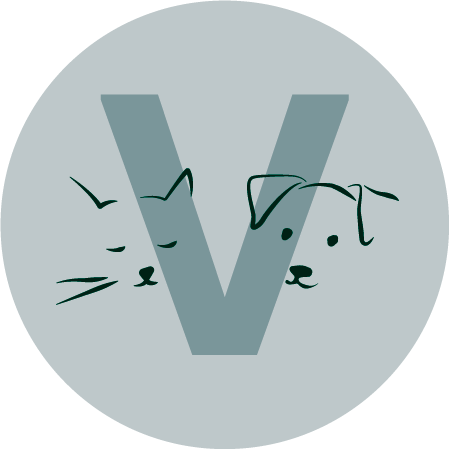 V clinique vétérinaire - Paris