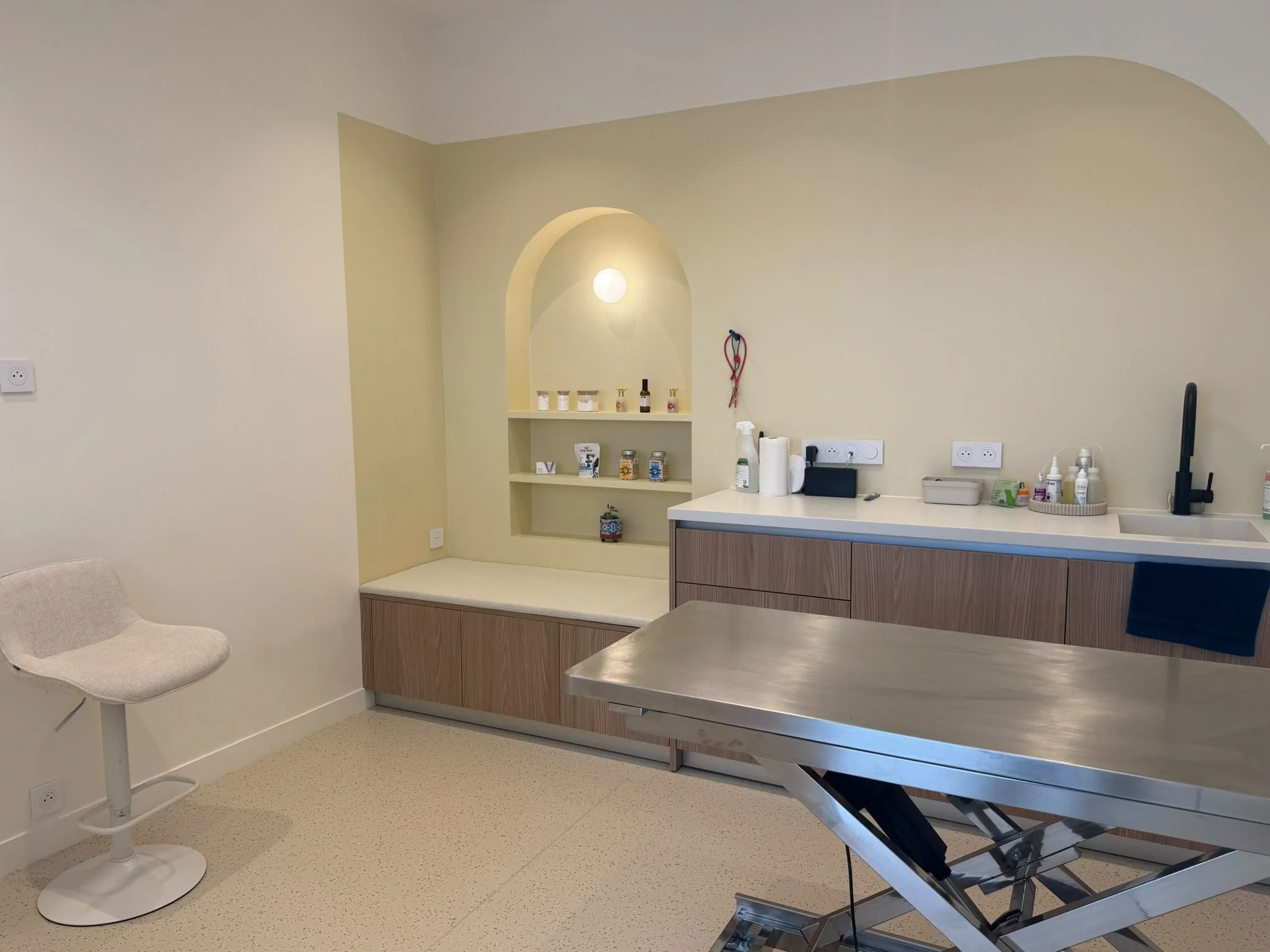 Une salle médicalisée avec un comptoir, des produits de soins, et un fauteuil de consultation d'une clinique vétérinaire à Paris 15e. Mur beige clair, avec étagères encastrées et prises électriques.
