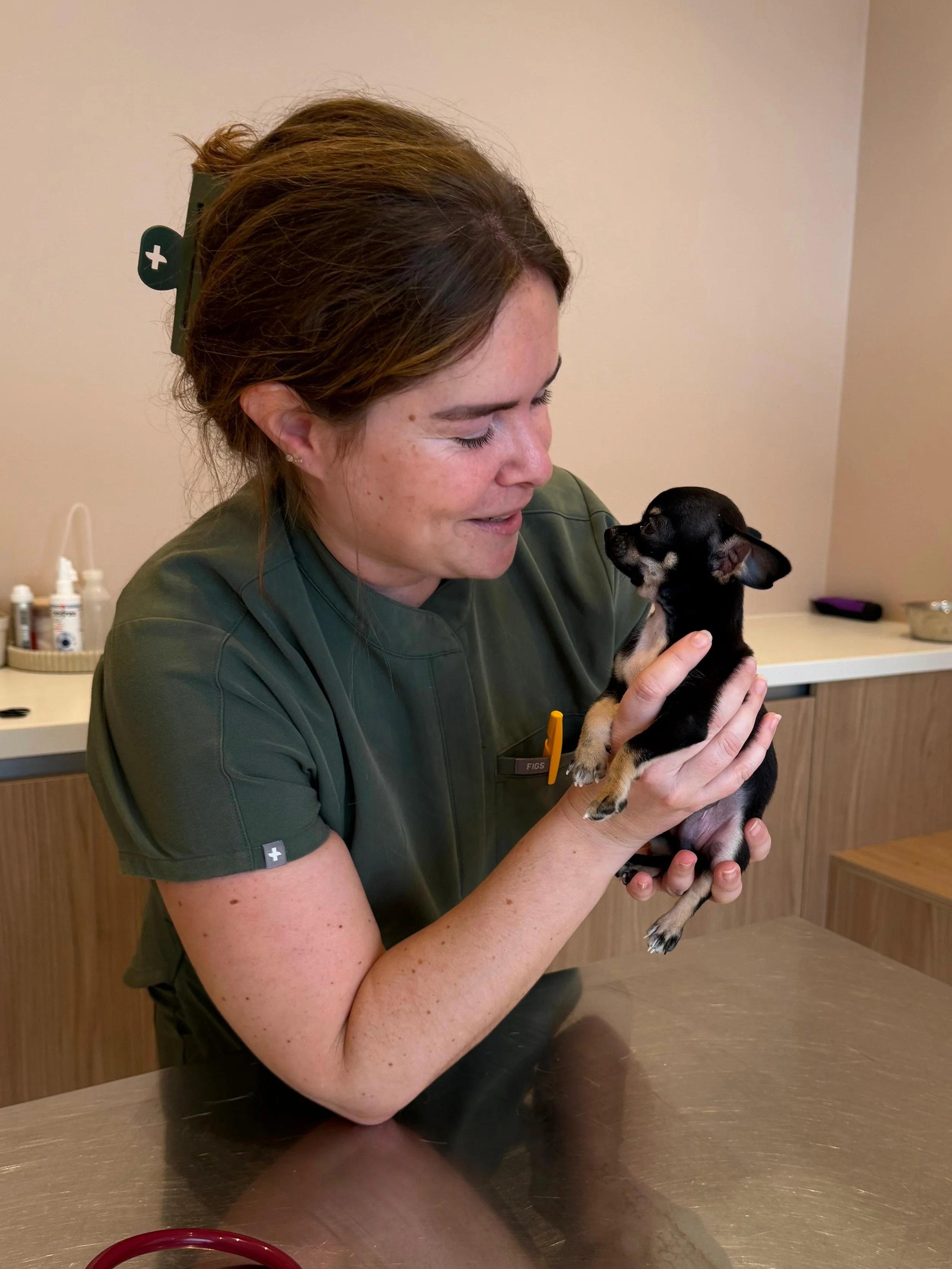 Une femme portant un uniforme vert et un clip en forme de croix blanche dans ses cheveux tient un petit chien noir et marron dans ses mains, dans une pièce aux murs neutres.