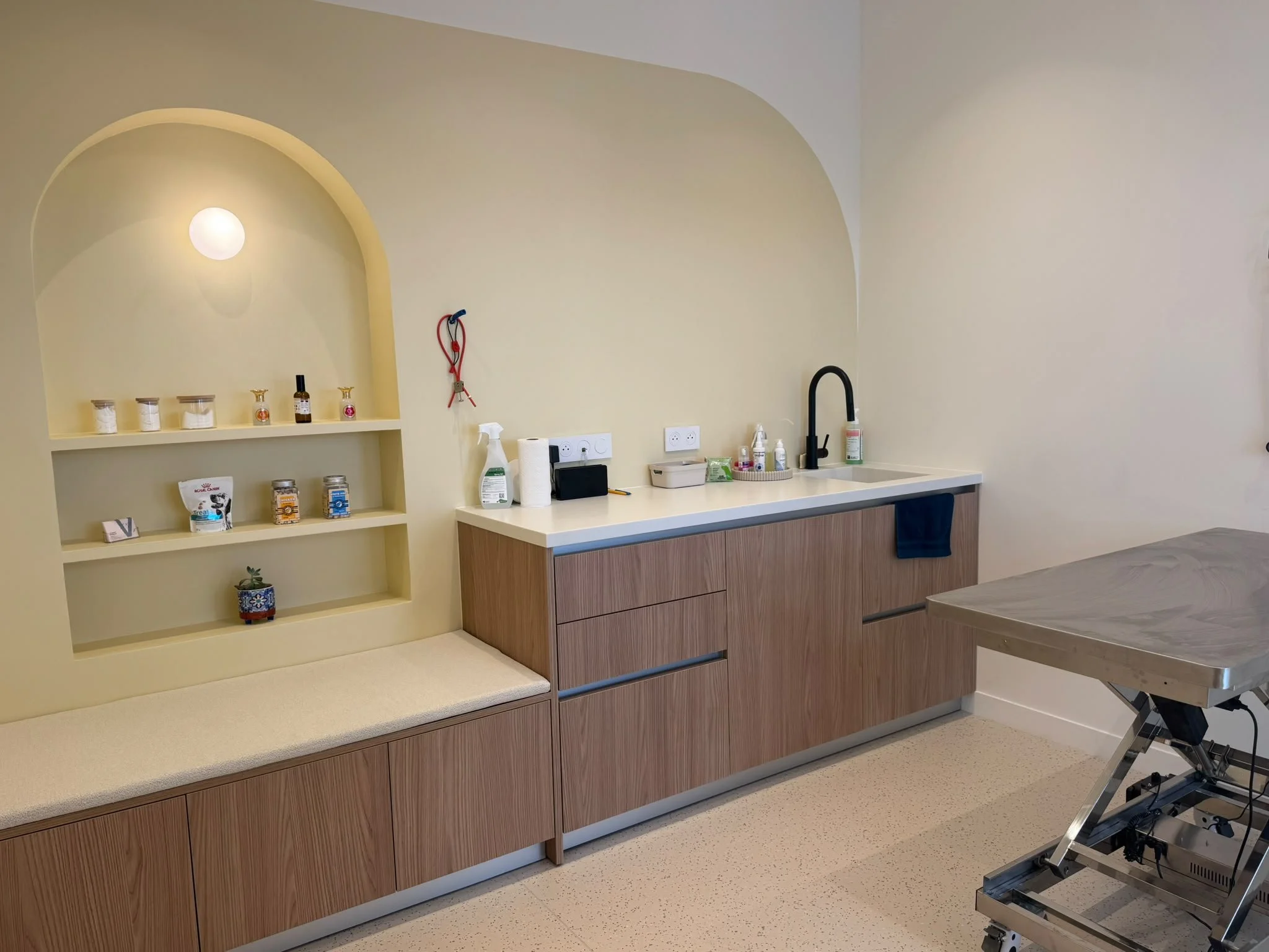 Une salle médicale ou clinique avec un comptoir en bois, un évier noir, des produits de nettoyage, et une étagère avec des bocaux, un distributeur de désinfectant et d'autres petits objets, d'une clinique vétérinaire à Paris 15e.