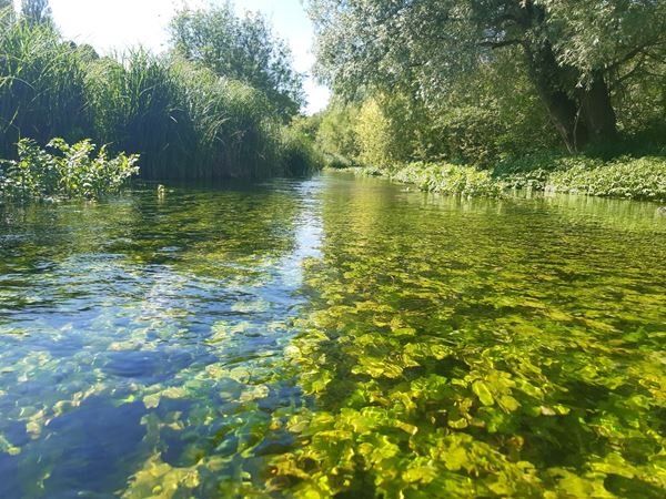 Kit urges stronger planning protection for chalk streams