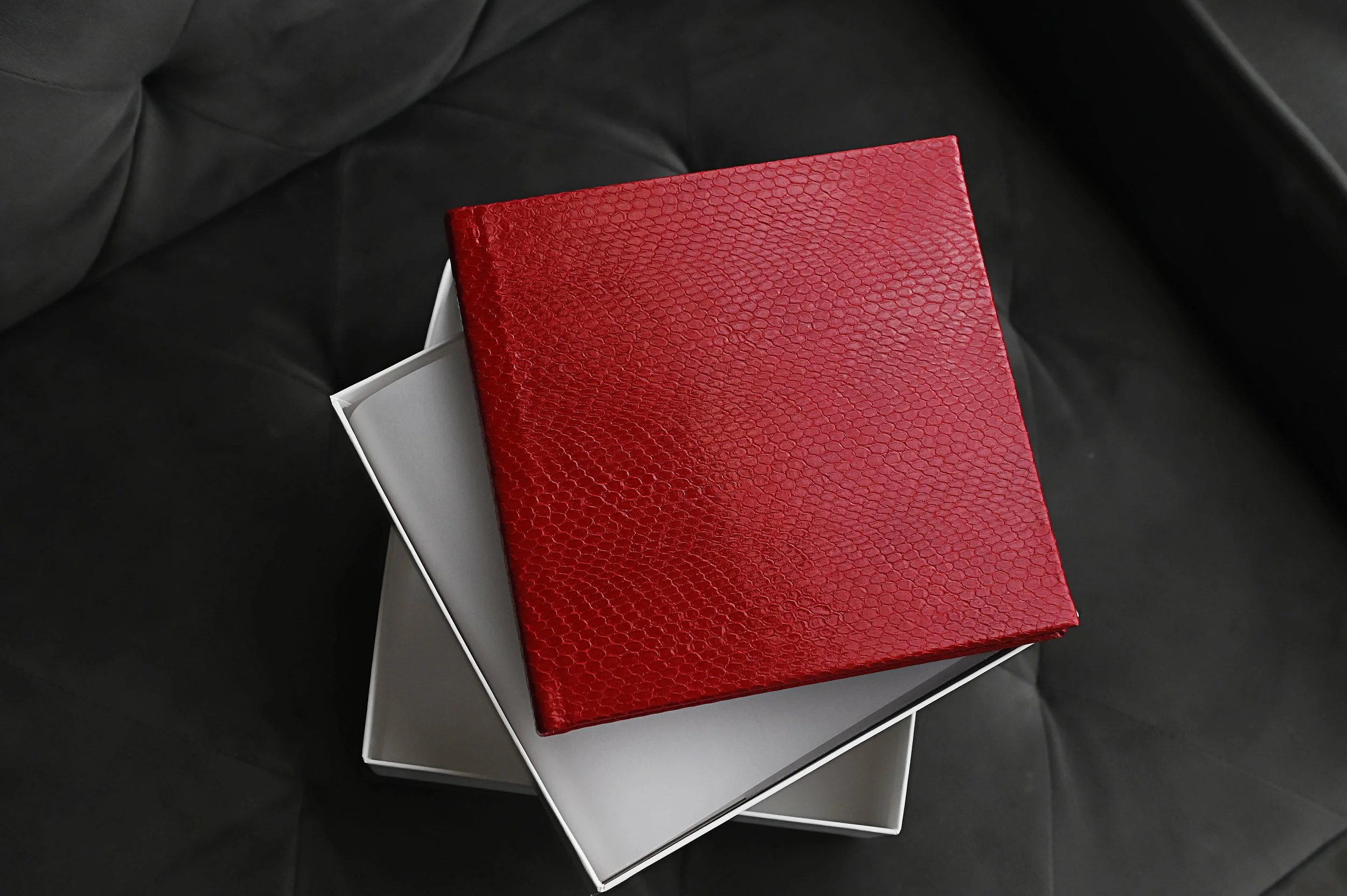 DSC_7203a.jpg
