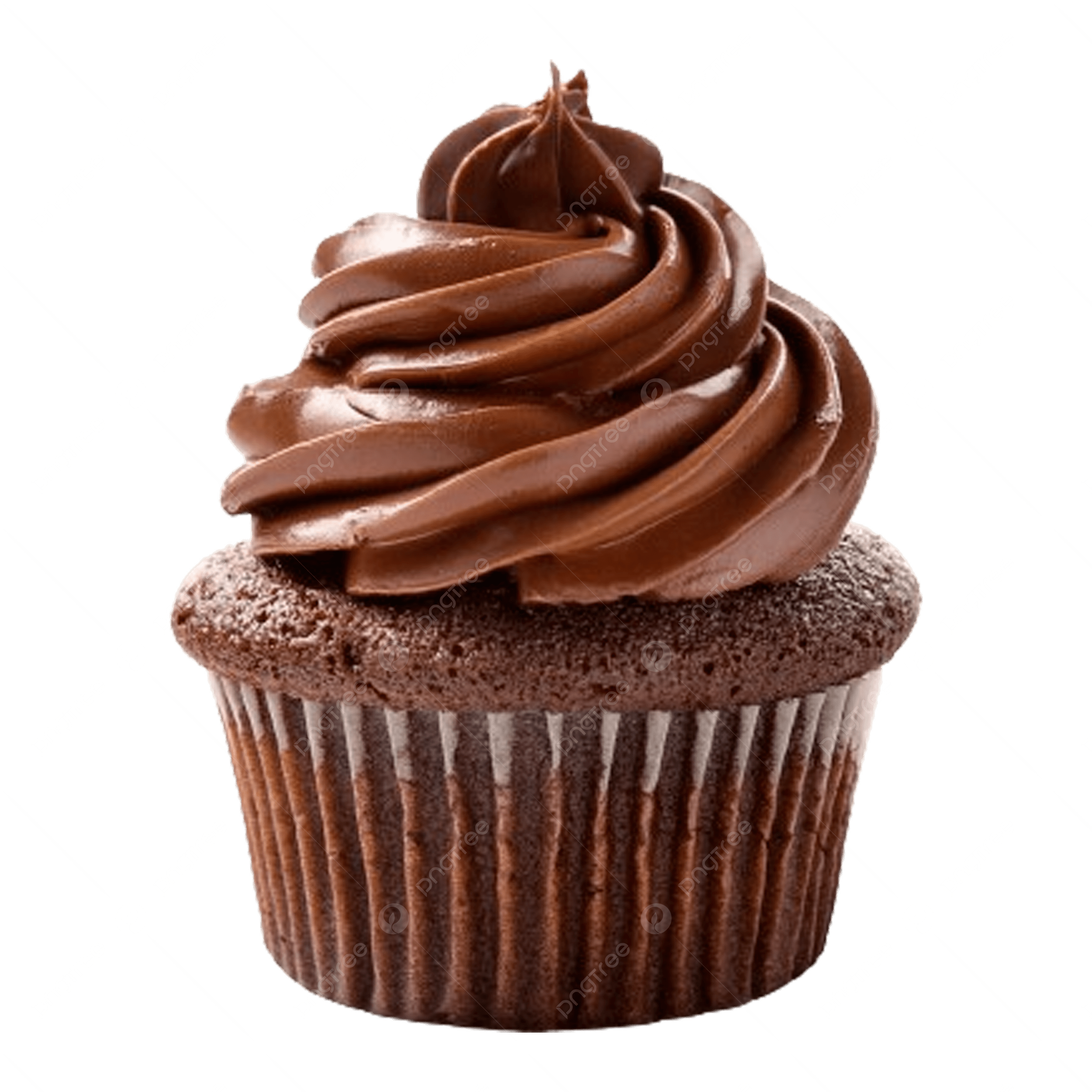 Chocolate Cupcake