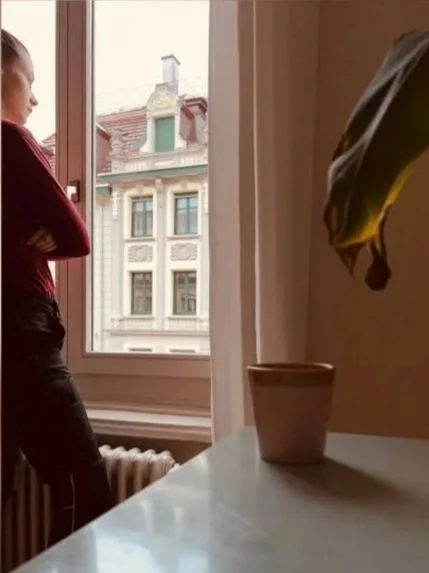 A woman standing inside a room near a window, looking outside at a building with ornate architecture, and a potted plant on a table inside the room.