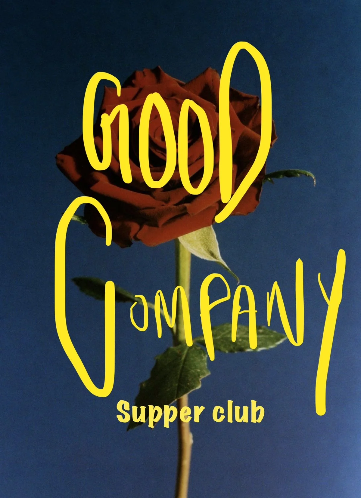 A red rose with green leaves against a dark blue background, overlaid with yellow handwriting that says 'Good Company' and yellow text at the bottom that says 'Supper club'.
