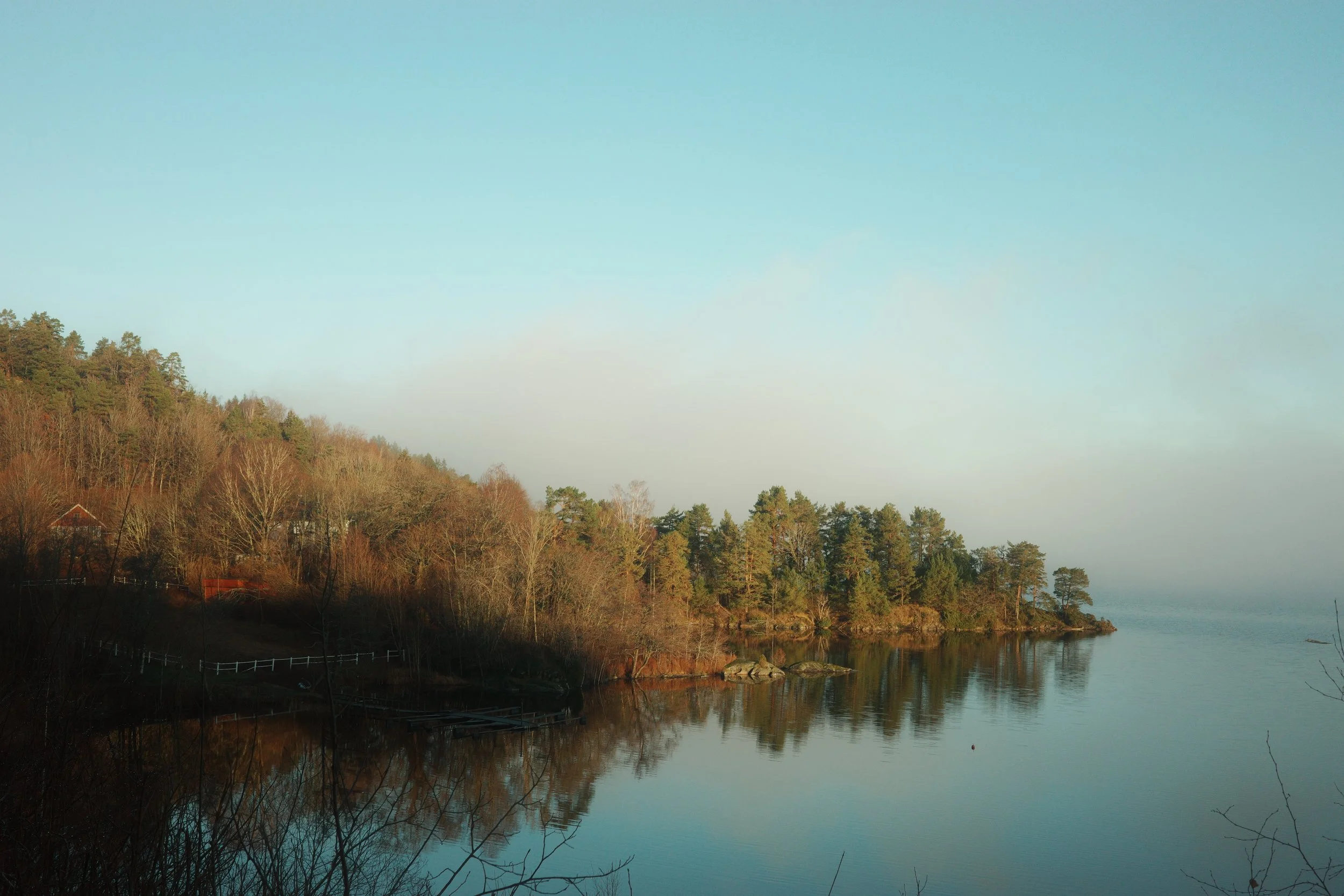 R0002977.JPG