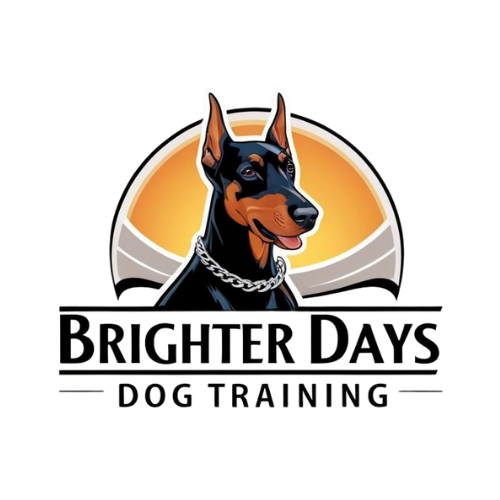 Logo featuring a Doberman dog wearing a chain collar, with a sunset scene in the background, and text that reads 'Brighter Days Dog Training'.