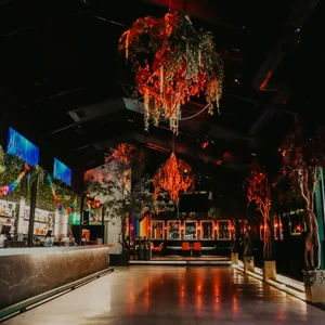 Pearl Bar photo