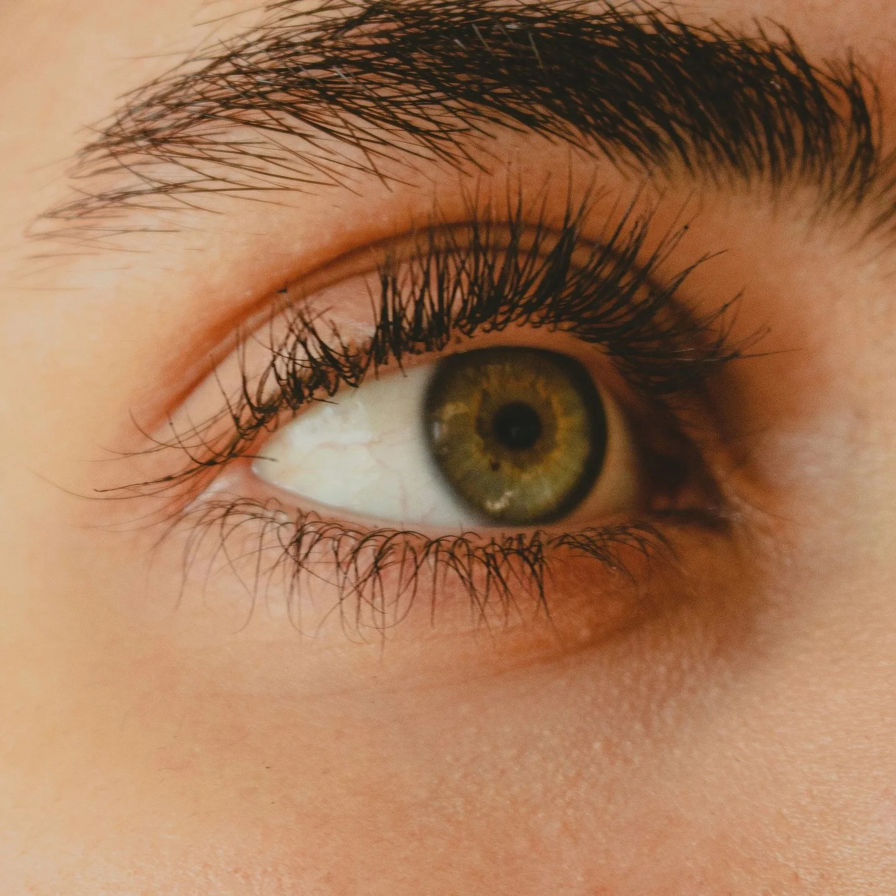 ali-shoaee-SdStLjkoWXM-unsplash.jpg