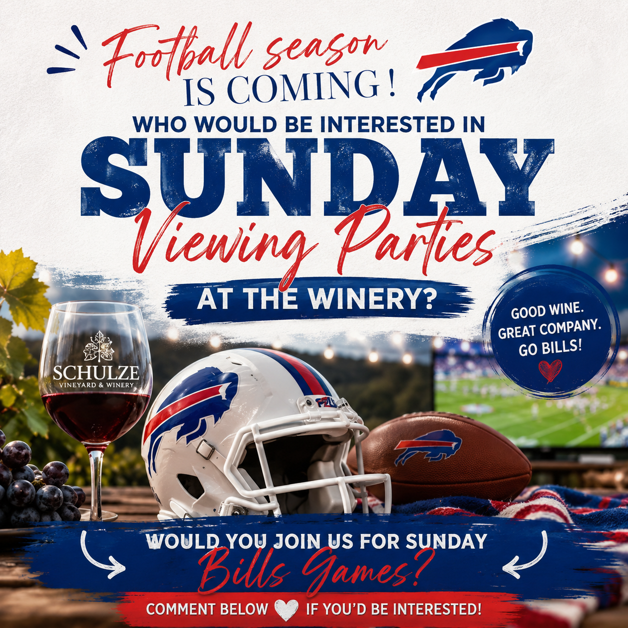 Bills Watch Party 