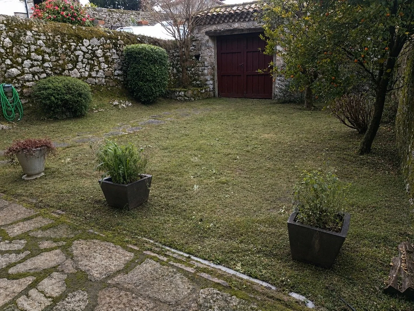 Desbroce de fincas y terrenos