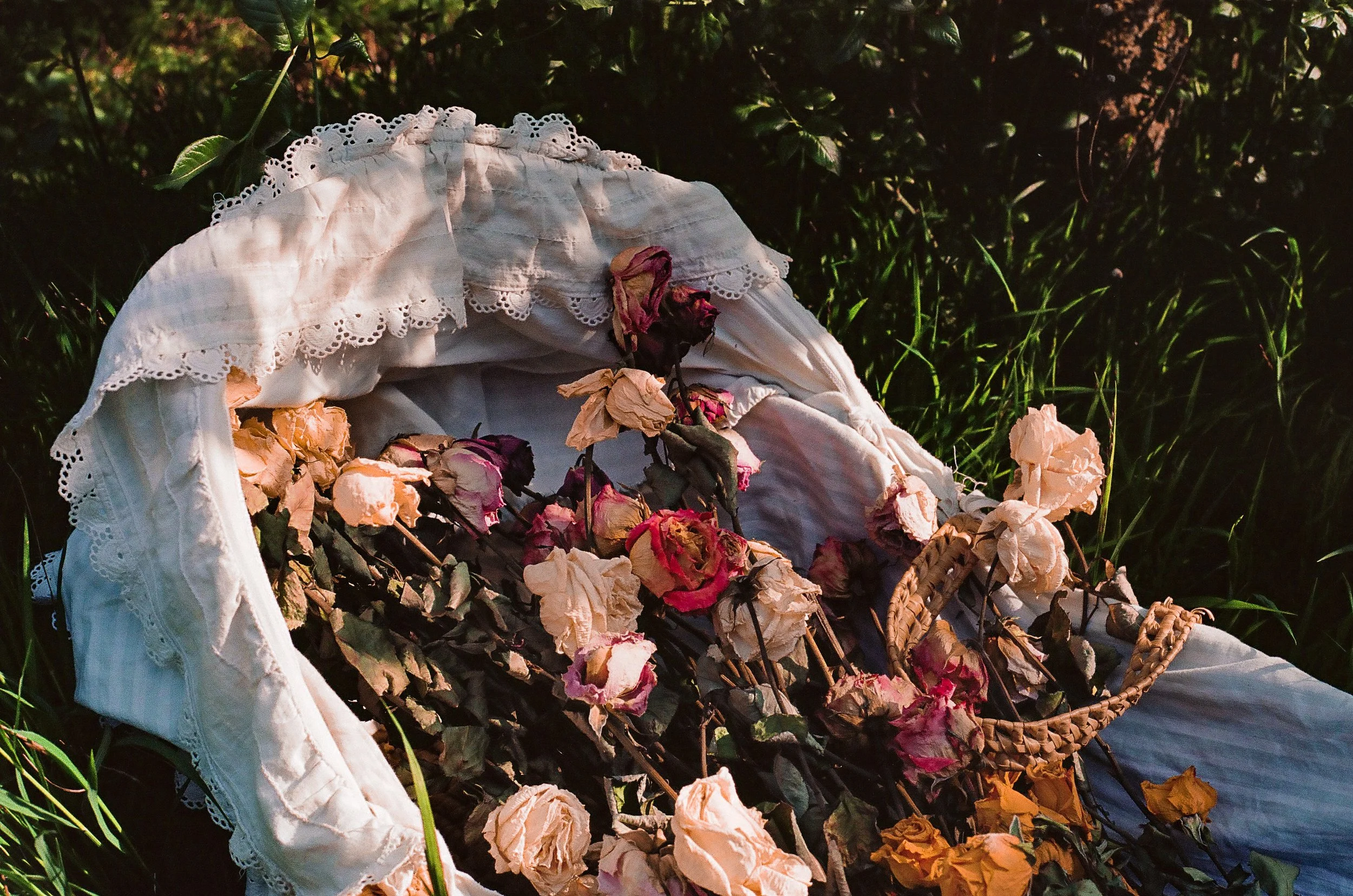 still life analog-17.jpg