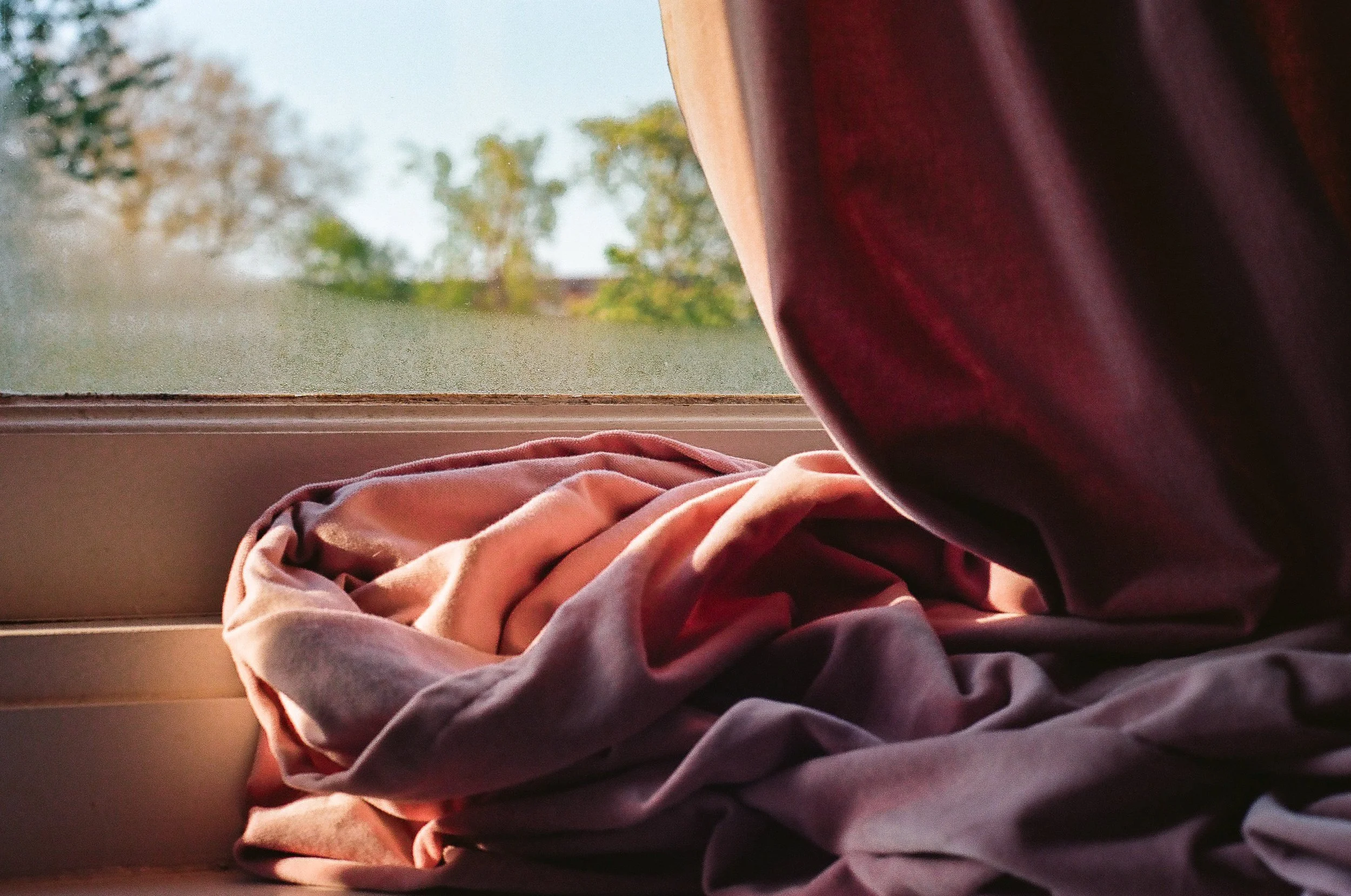 still life analog-15.jpg