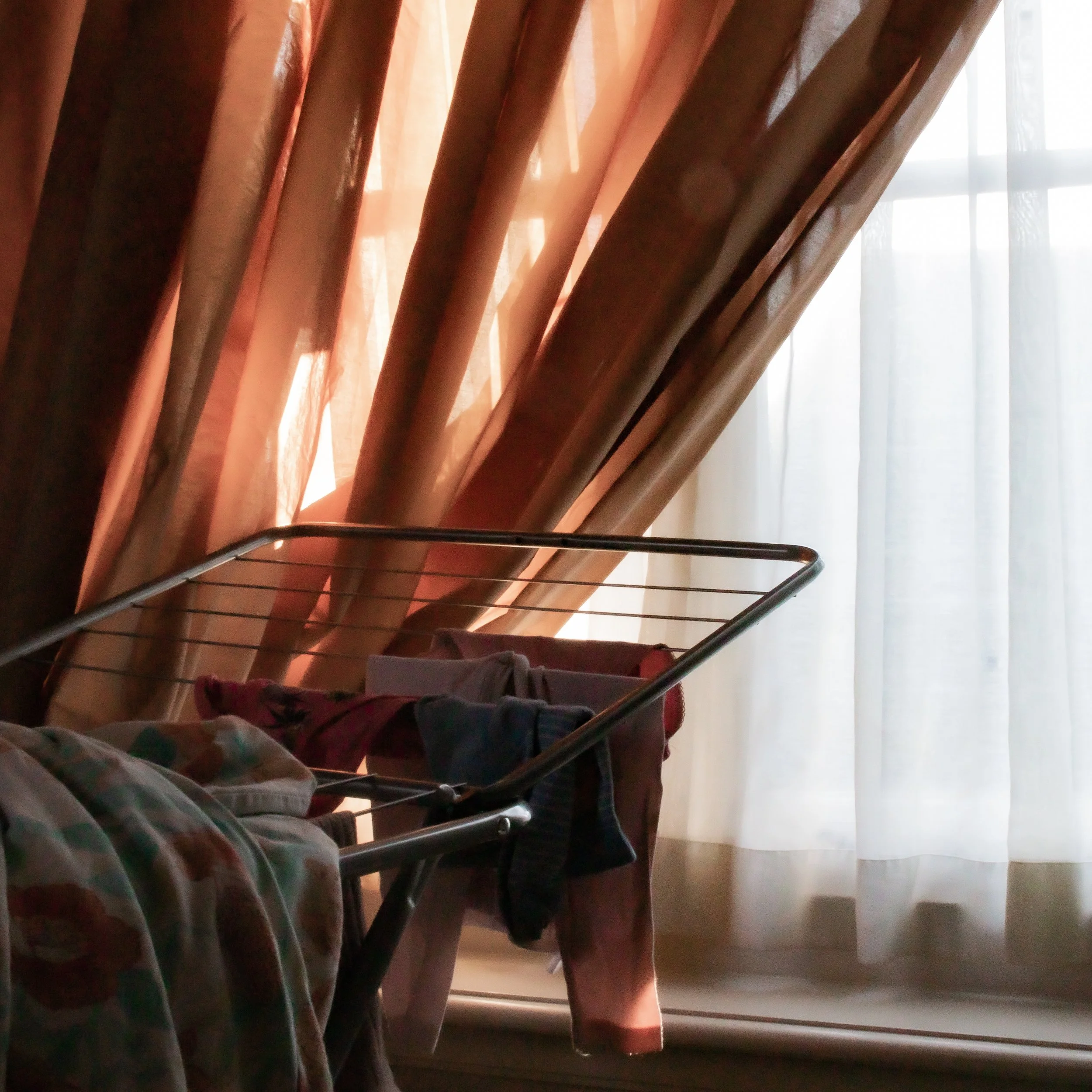 still life - burned out beauty (1 of 1)-8.jpg