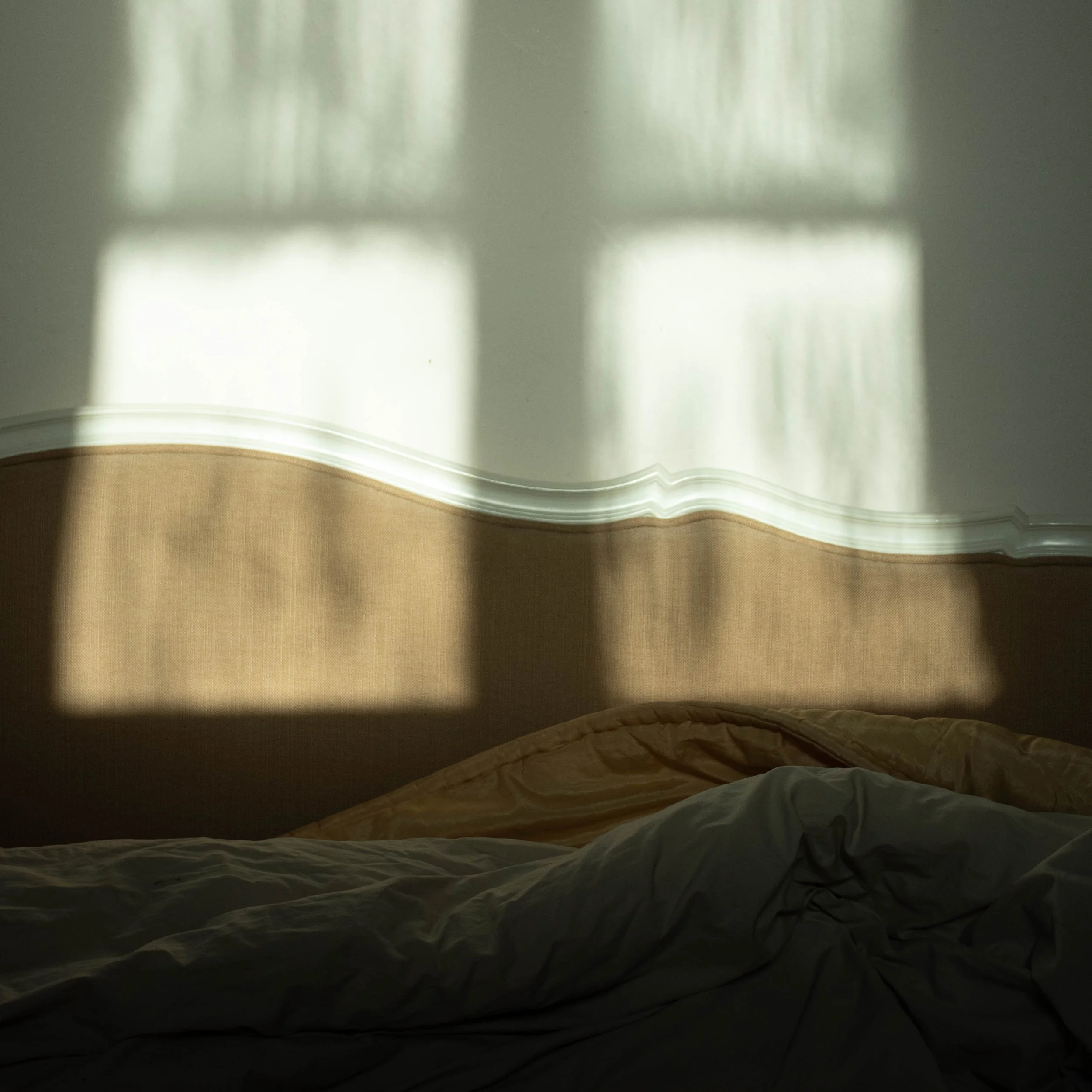 Wintersleepers still life-22.jpg