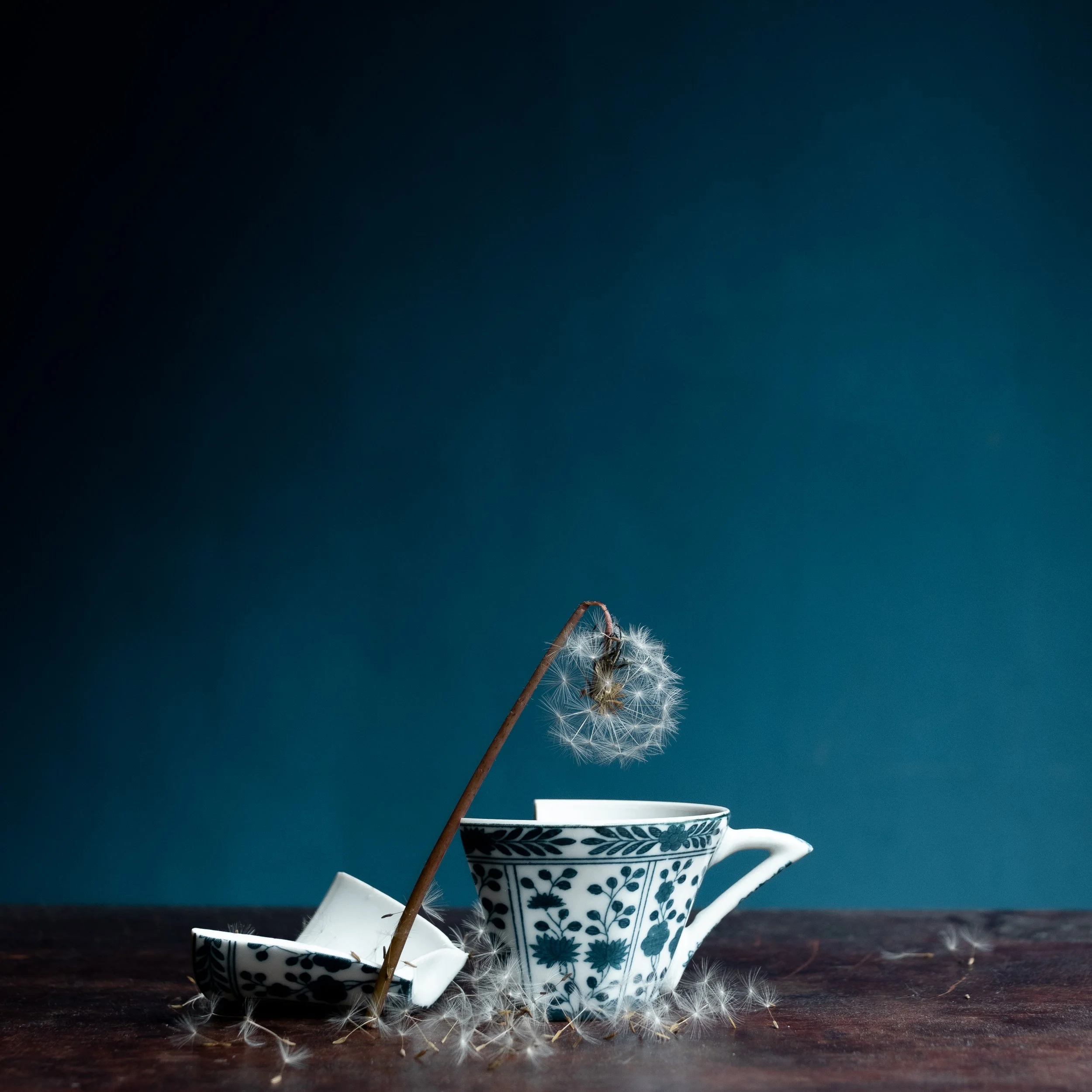 Still life (1 of 1)-15.jpg