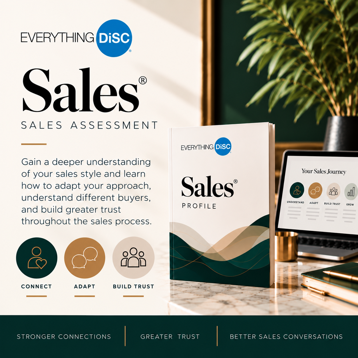 Premium DiSC Sales Assessment Promo.png