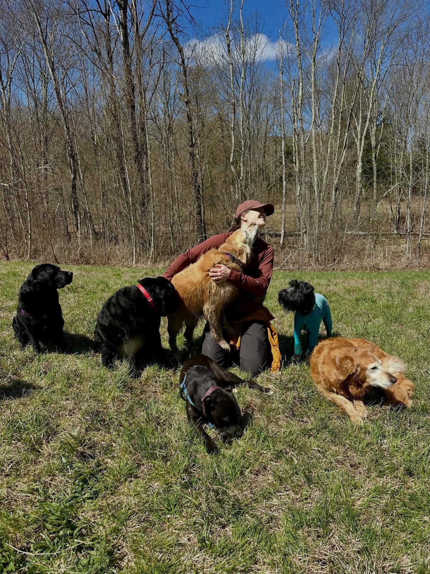 Earlier this month, I had the opportunity to join Mary of @unleashedk9adventures and her incredible pack of pups for a hike.

The dog world is full of amazing people, and I&rsquo;m always grateful for opportunities like this to connect, learn, and sp