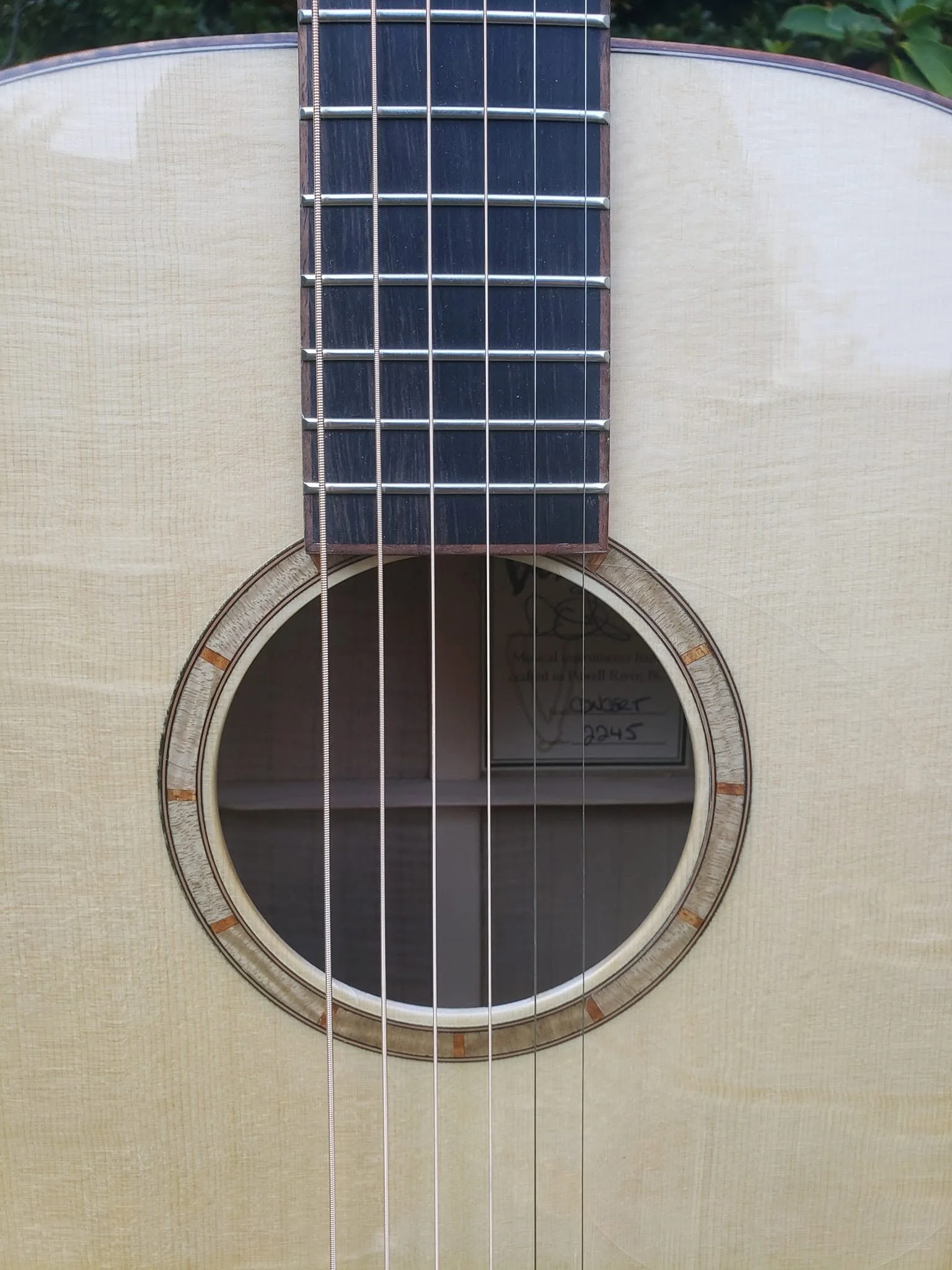 Concert Model Bearclaw close-up