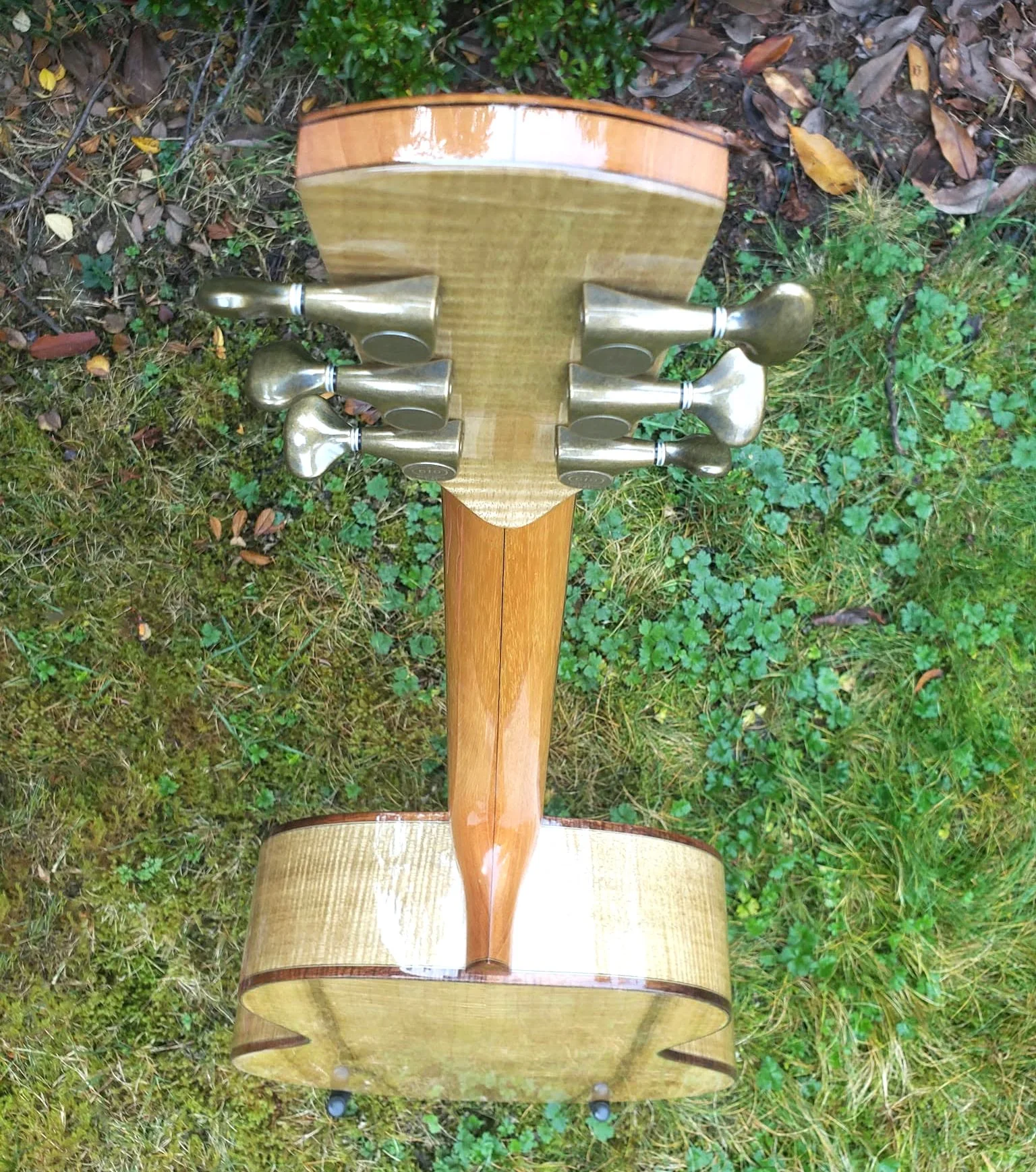 Concert Model
Bearclaw Englemann Spruce 
Curly Oregon Myrtle 
Koa Arm Bevel and appointments 
Very sexy Antique Gold 510's
This one has it going on!  