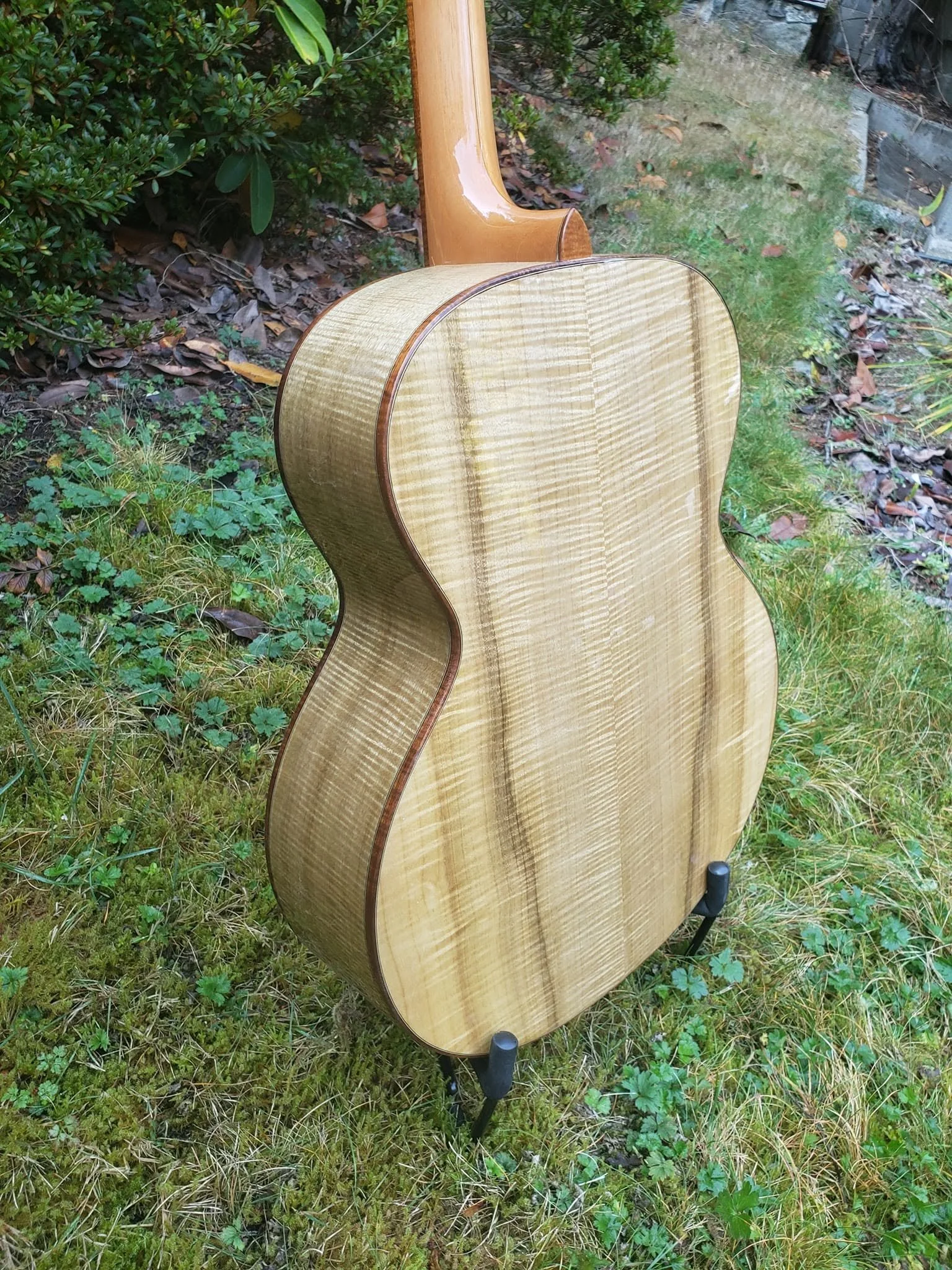 Concert Model back