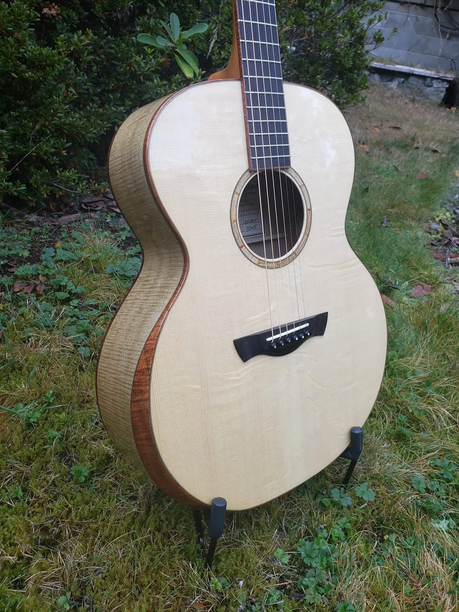Concert Model Bearclaw front