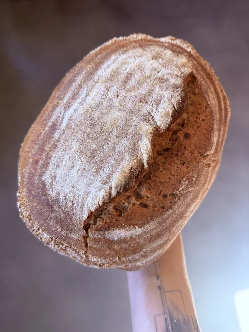 Little Fang pastry close-up