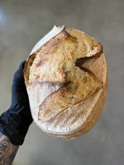 Little Fang sourdough loaf