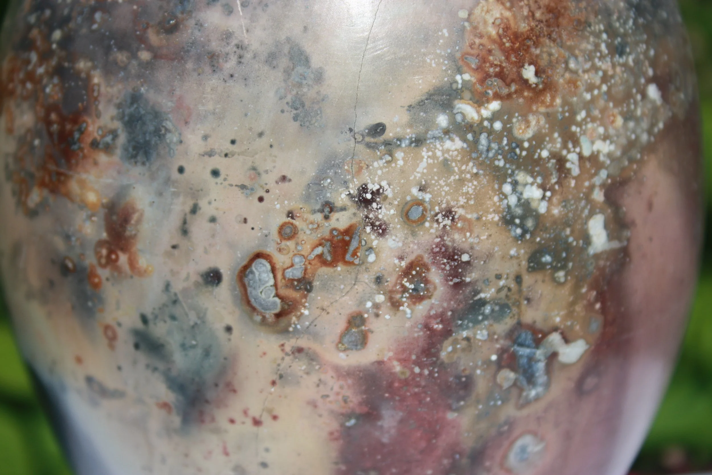 Close-up of a surface with various colors and textures, including white, black, brown, and red spots and patterns.