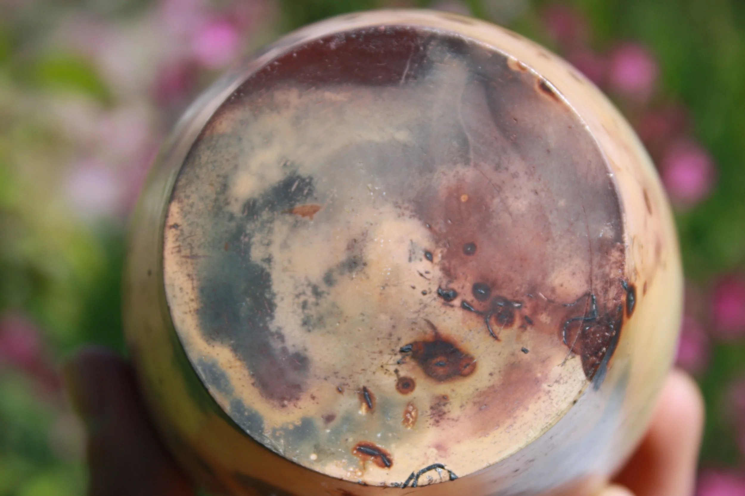 Close-up view of the bottom of a wine bottle with dried residue and dirt, held outdoors with blurred pink and green background.