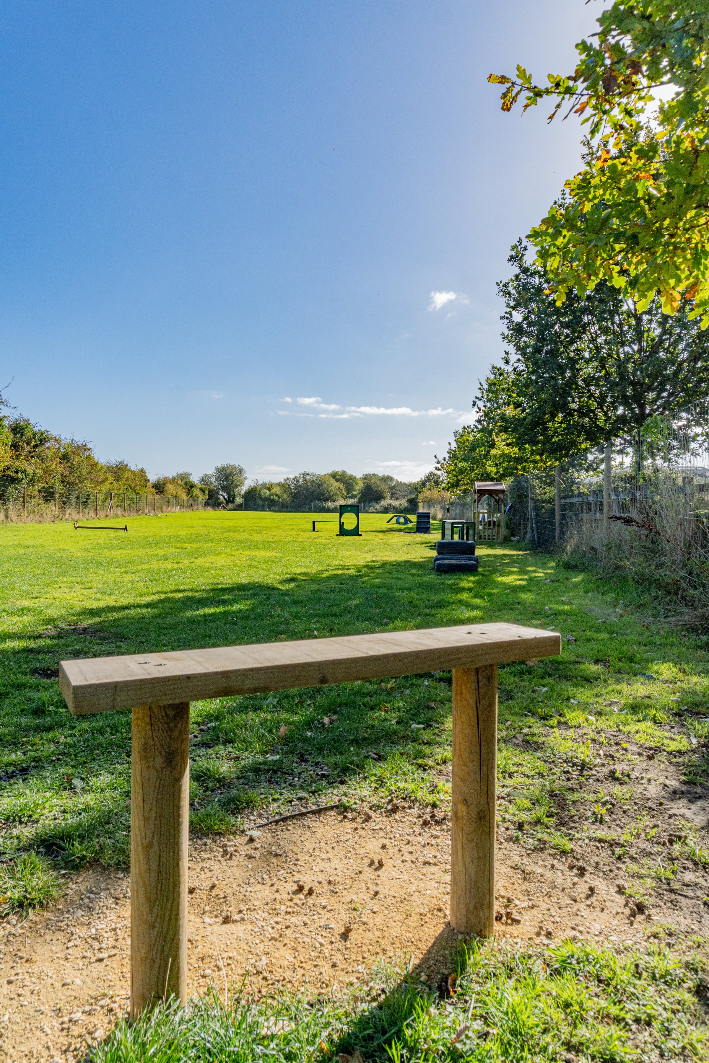 Outdoor dog park with agility equipment under a clear blue sky, surrounded by green trees and grass.
