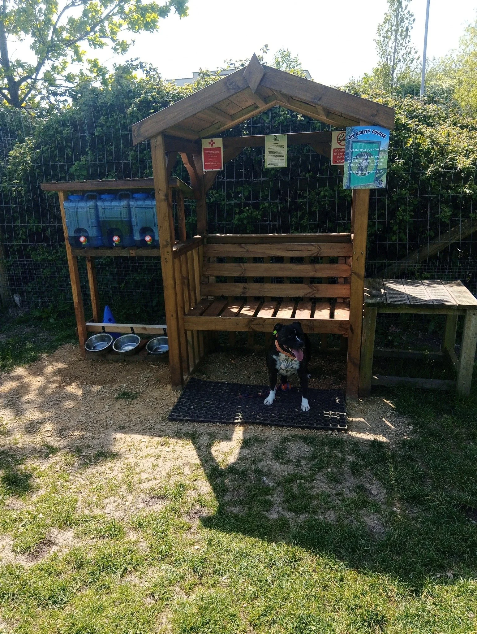 Dog sitting inside a wooden shelter with bench with signs and water bottles mounted on a fence behind it.