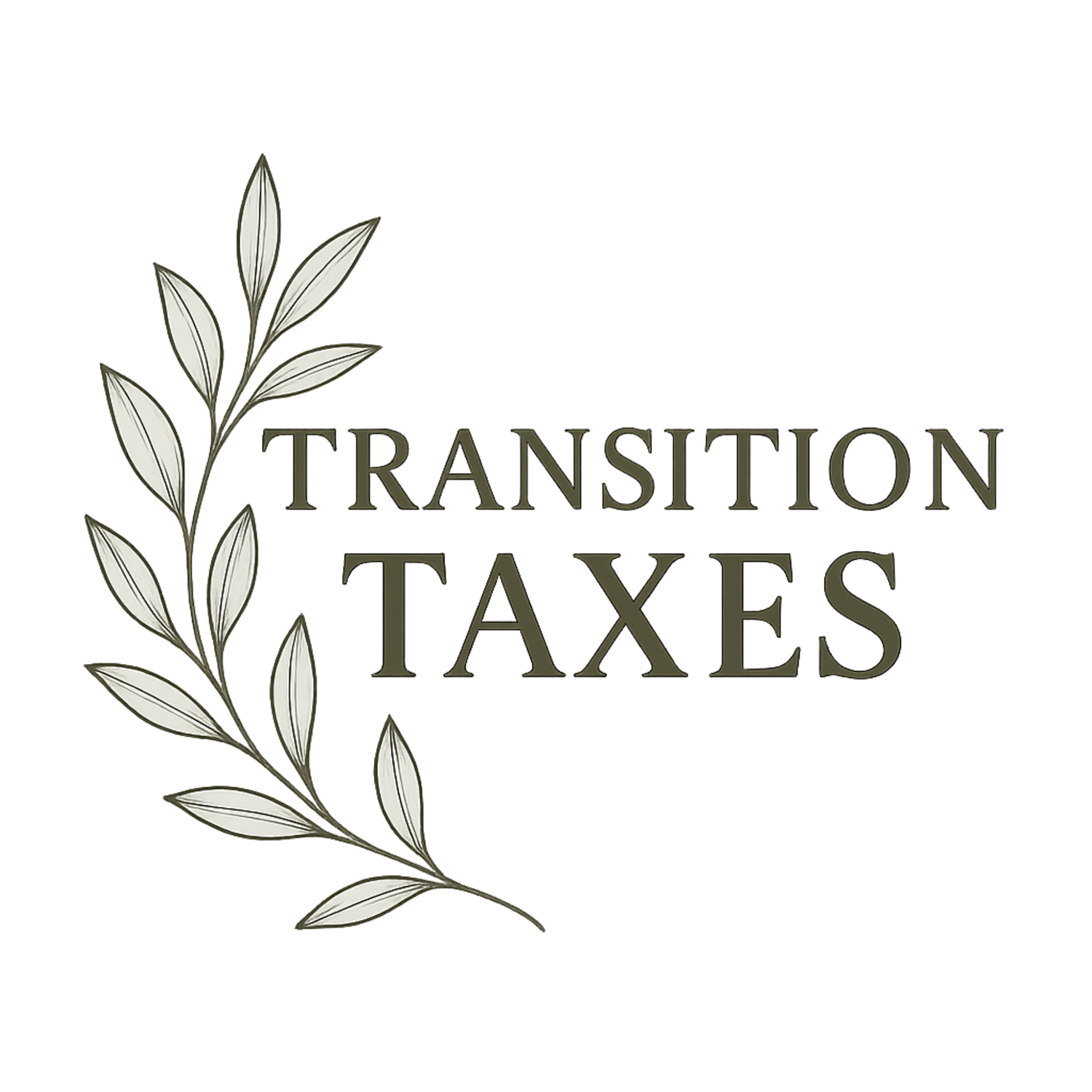 Transition Taxes