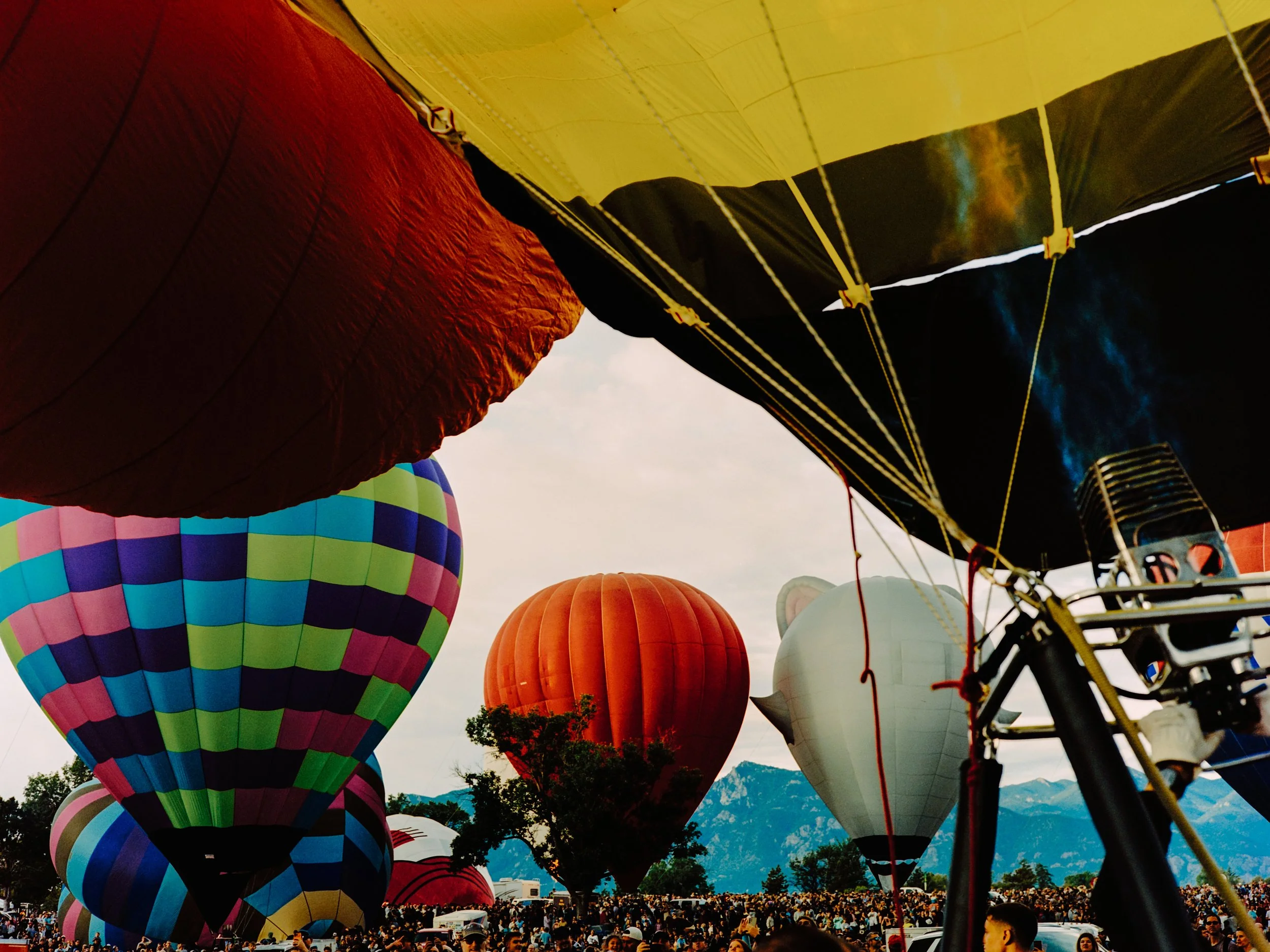 L1010389-edited.jpg