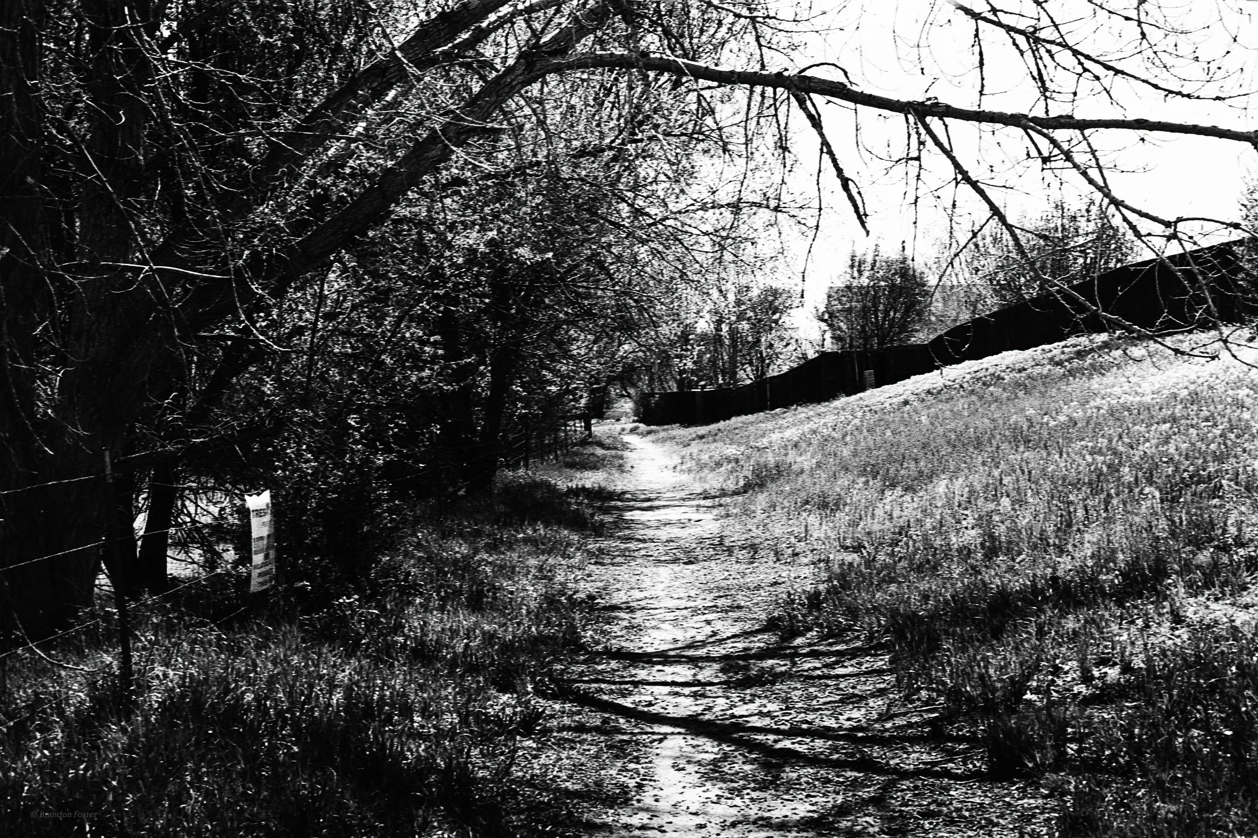 IMG_3586.CR3.jpg