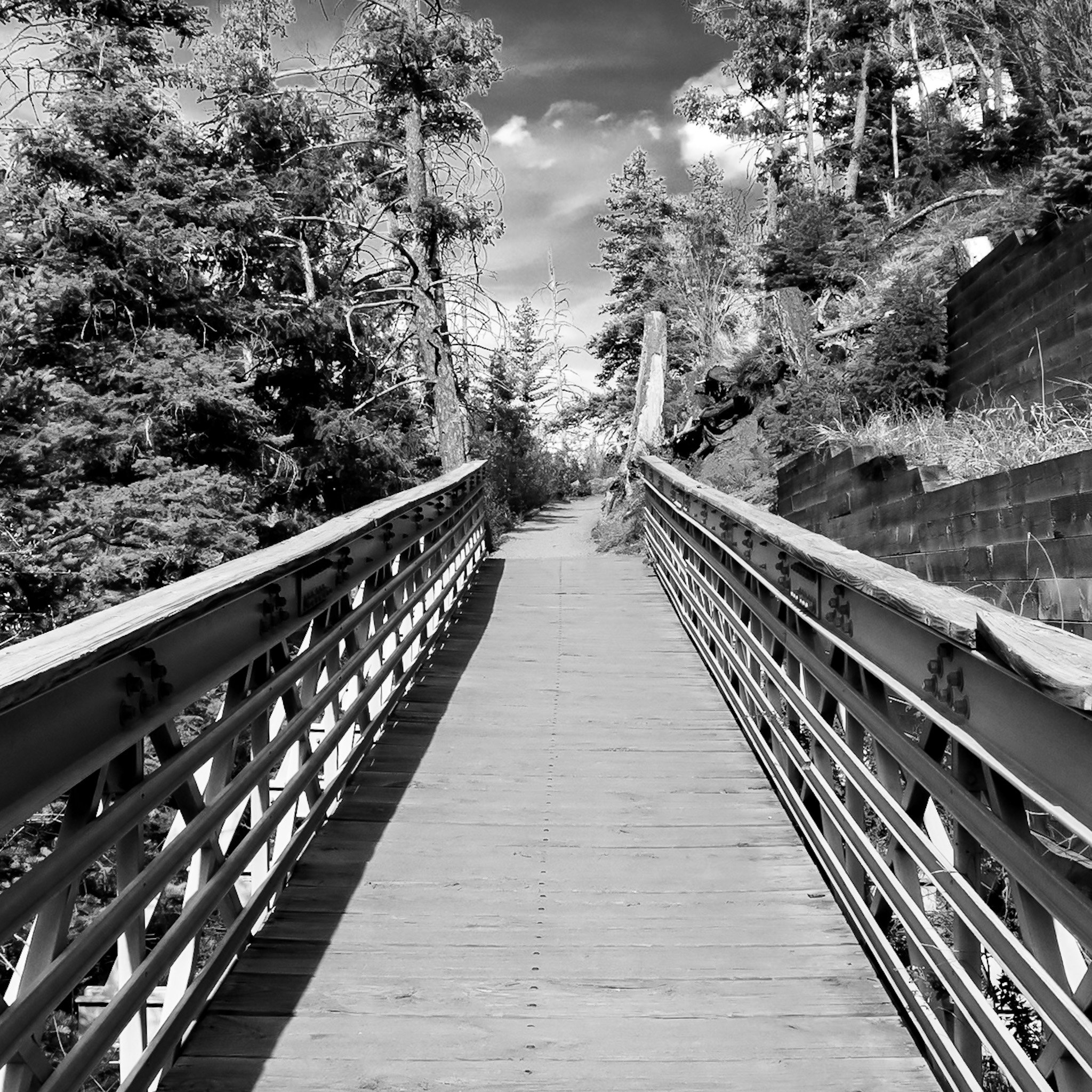 Black and white photo of a wooden bridge surrounded by trees, with clouds visible in the sky.