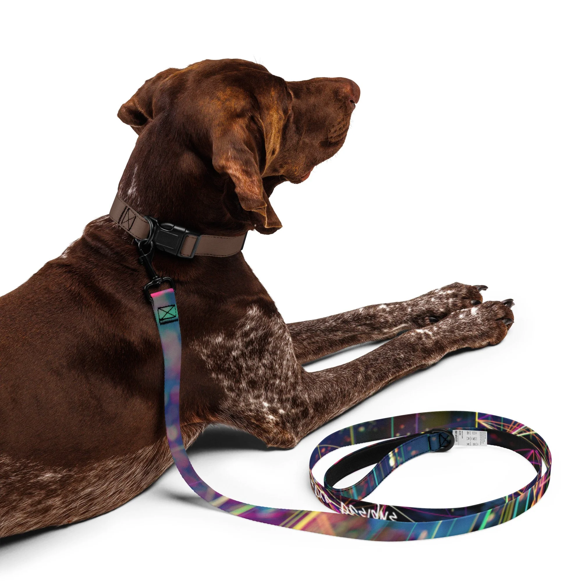 N*D Pet leash