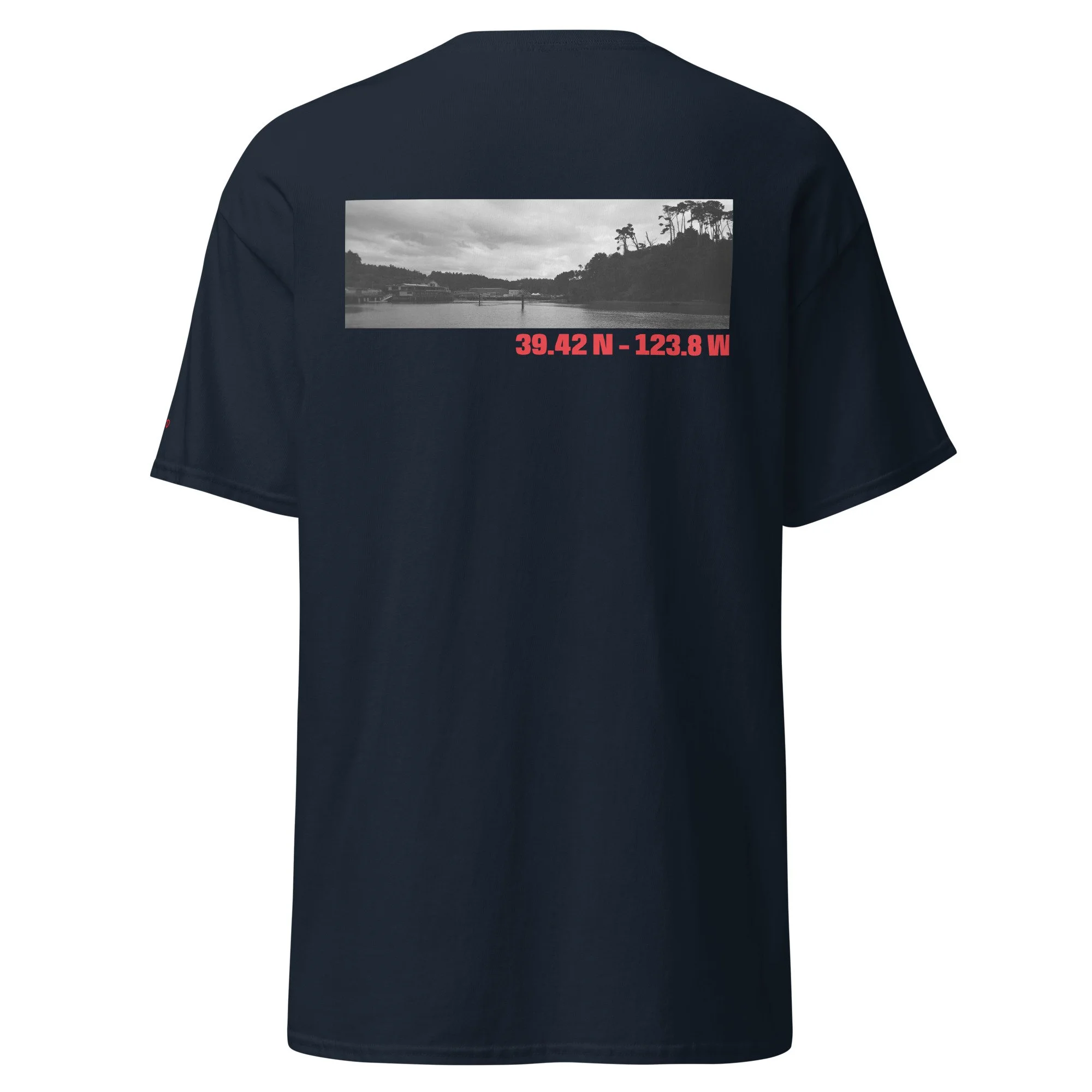 unisex-classic-tee-navy-back-6a3d7fbbd0163.jpg