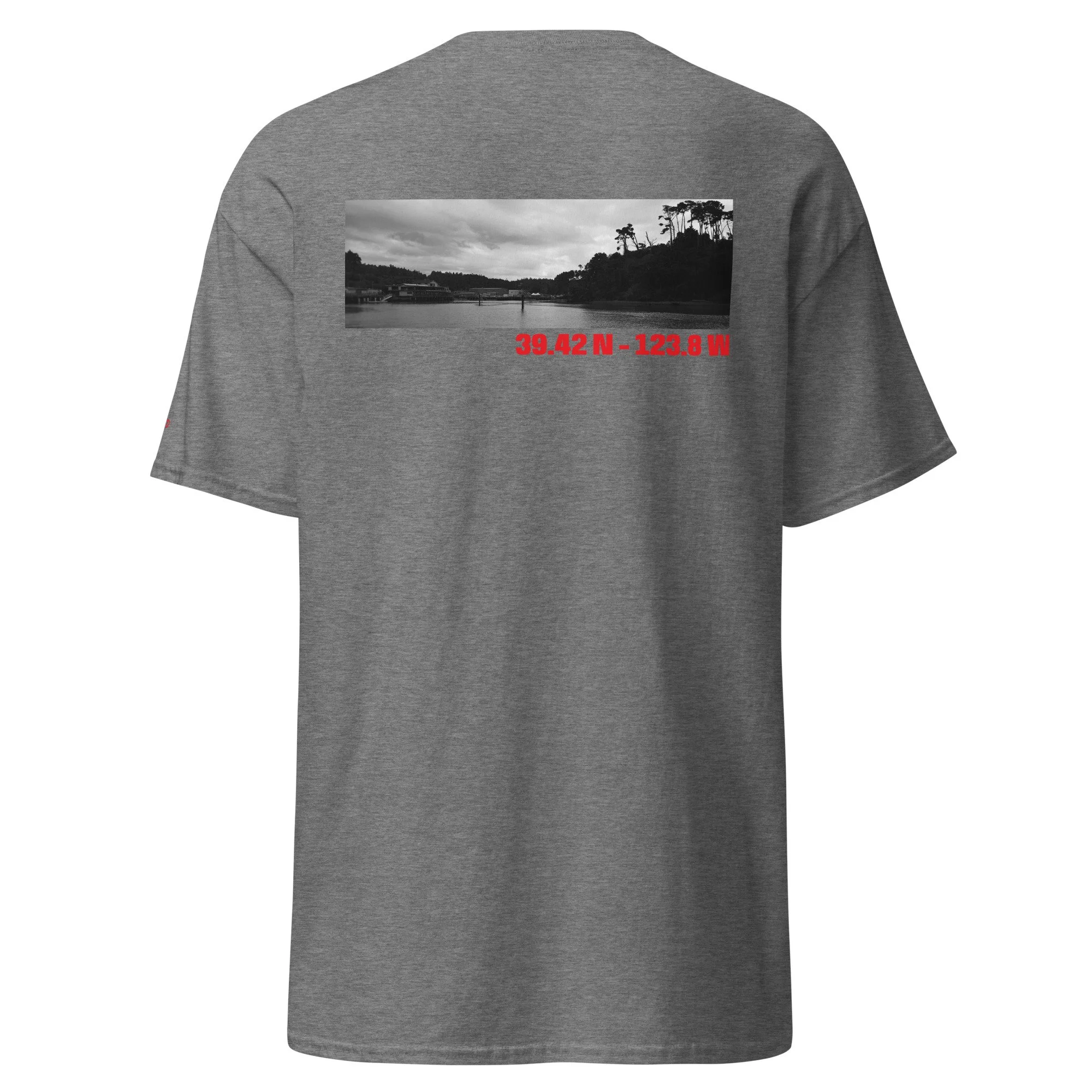 unisex-classic-tee-graphite-heather-back-6a3d7fbbd01b5.jpg