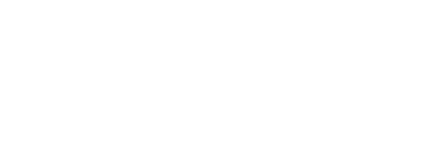 Rebel Forge Industries