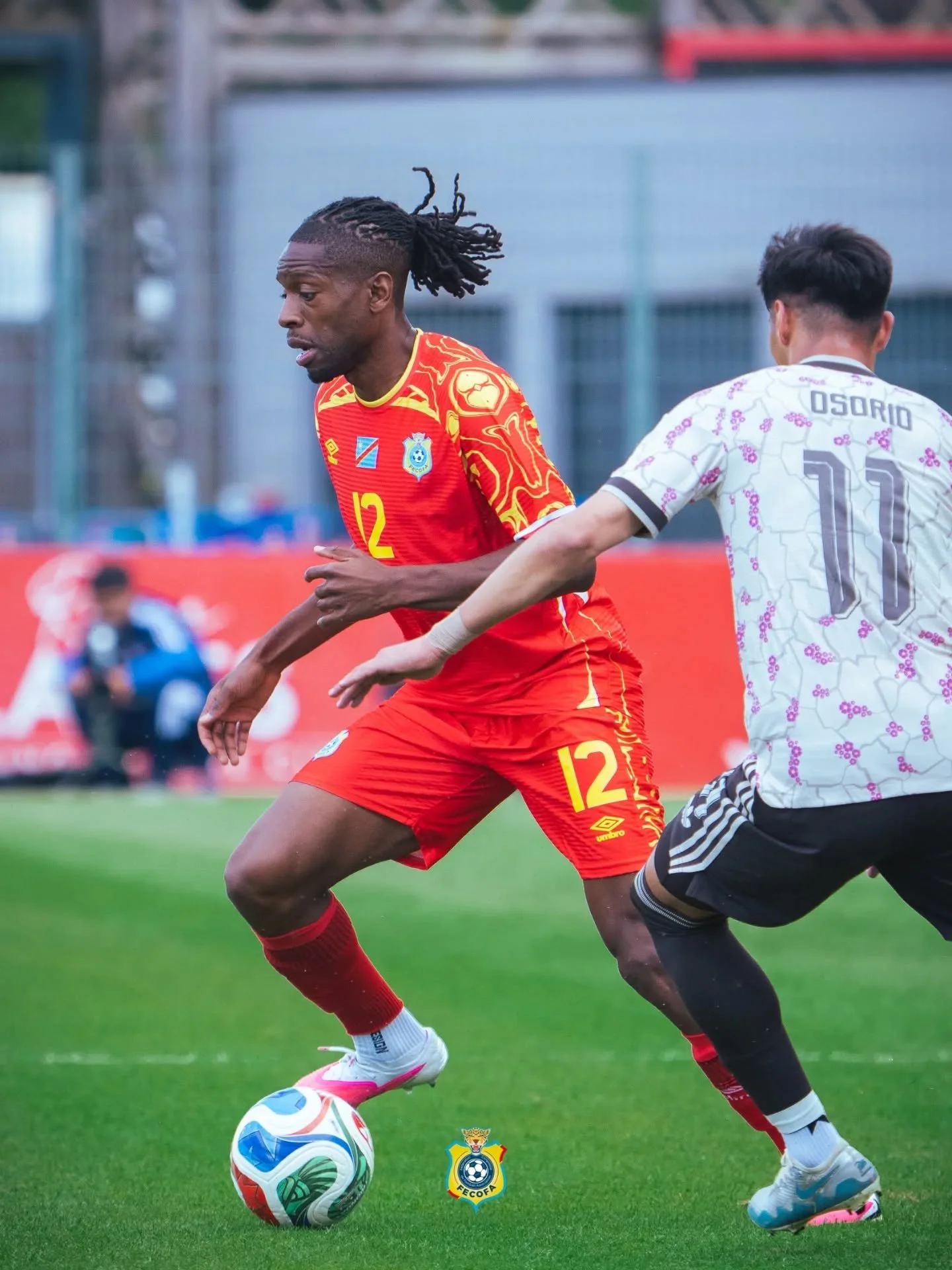 Les Léopards tombent face au Chili mais rugissent déjà avant le Portugal